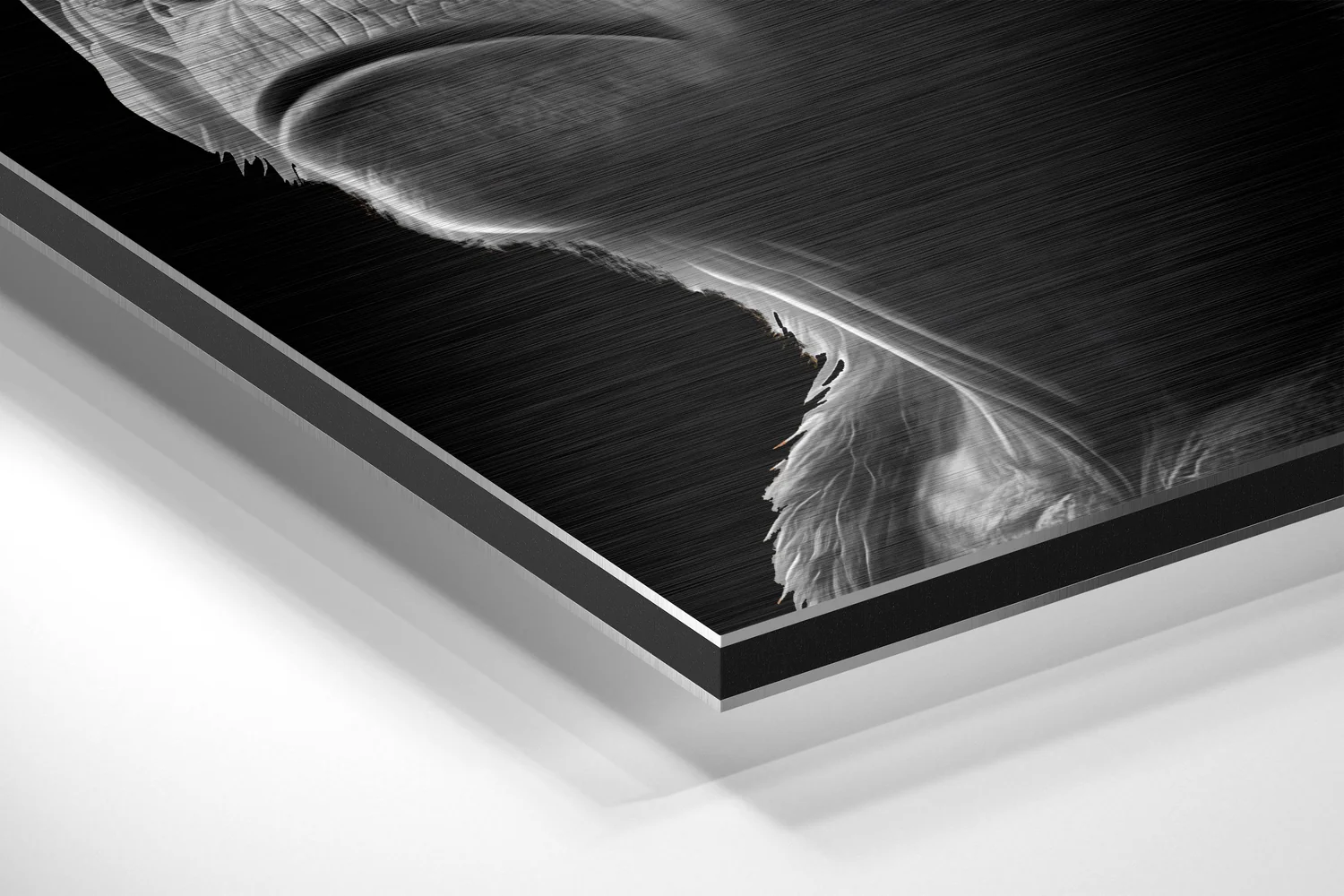3 Wise Monkeys Brushed Aluminum Dibond Wall Art - Image 2