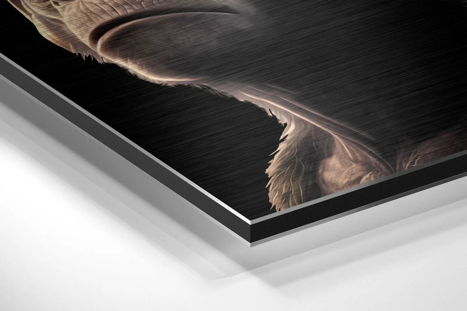 3 Wise Monkeys Brushed Aluminum Dibond Wall Art - Image 2
