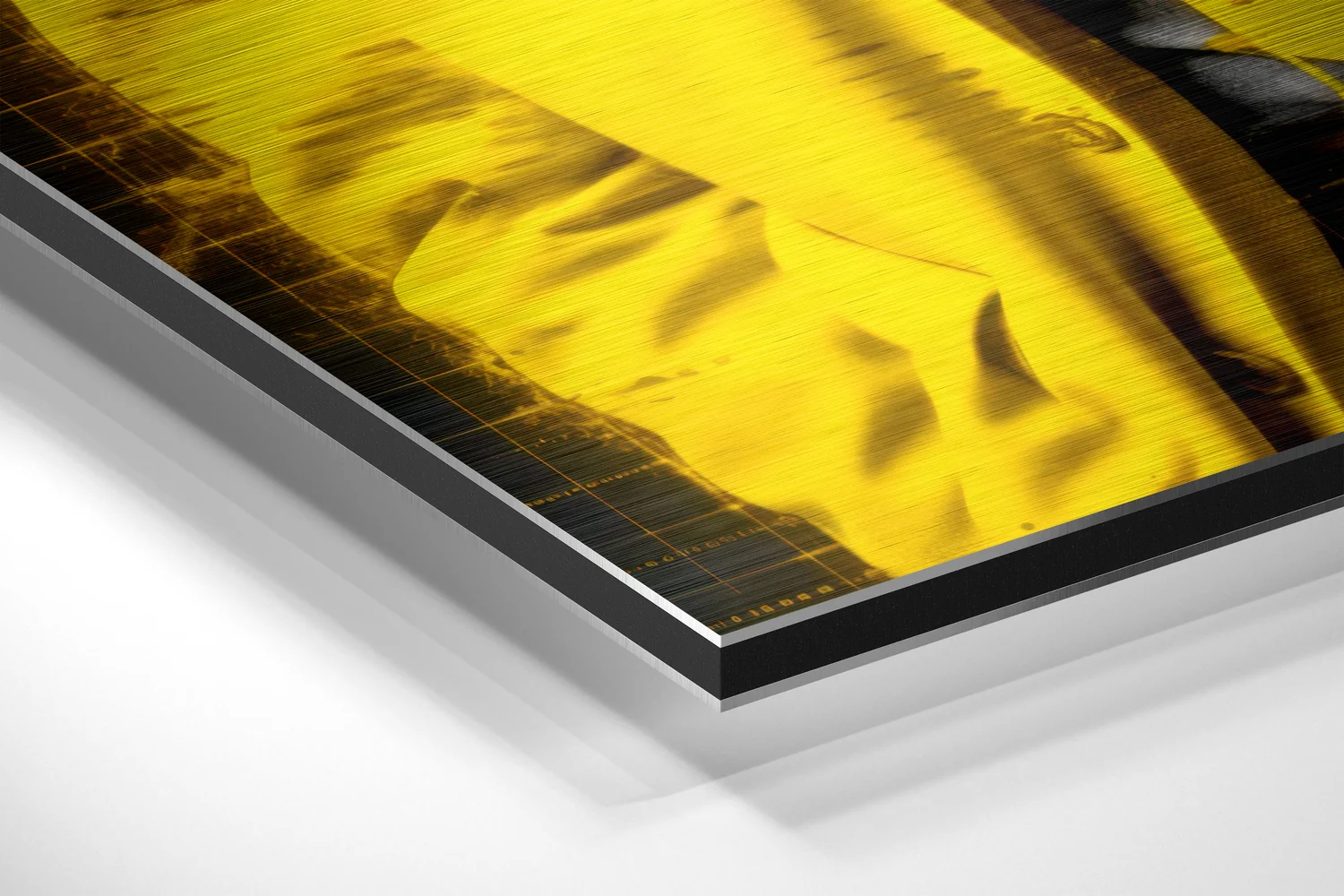 Einstein - I Told You Brushed Aluminum Dibond Wall Art - Image 2