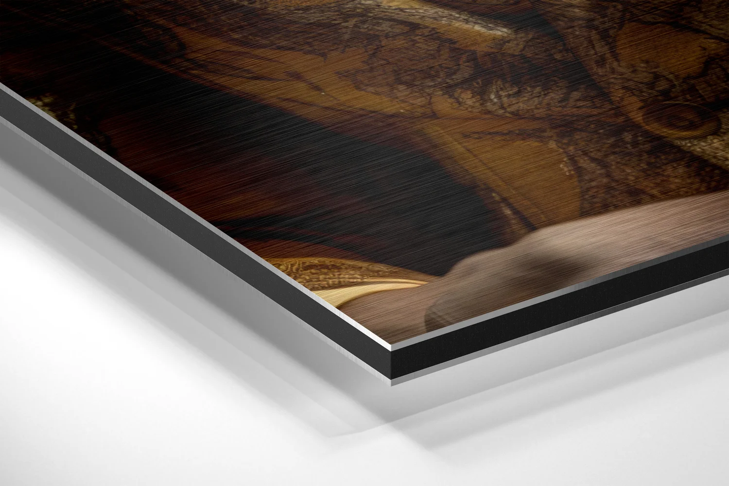 Mr. Lion Brushed Aluminum Dibond Wall Art - Image 2