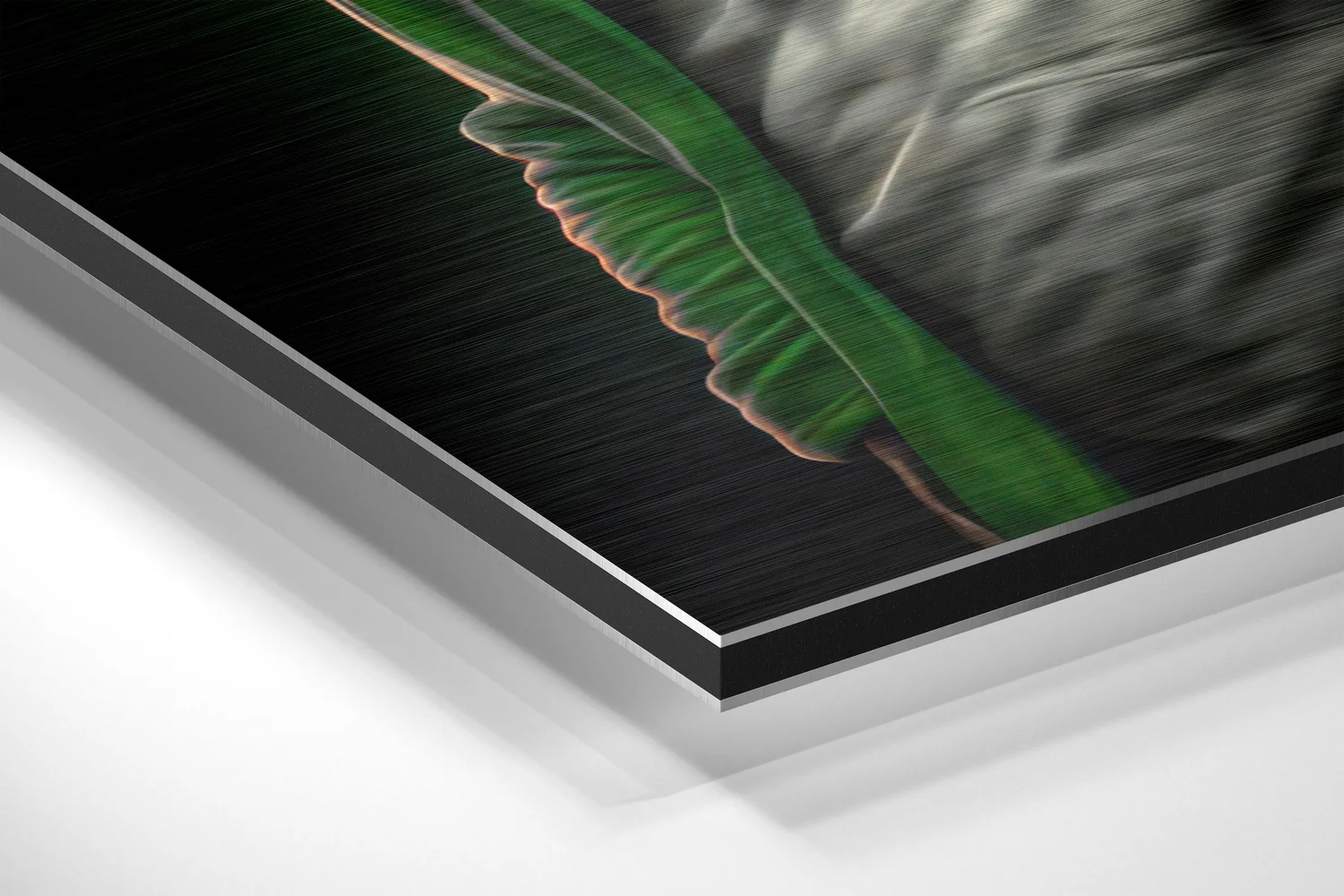 Anger of the Ape Brushed Aluminum Dibond Wall Art - Image 2