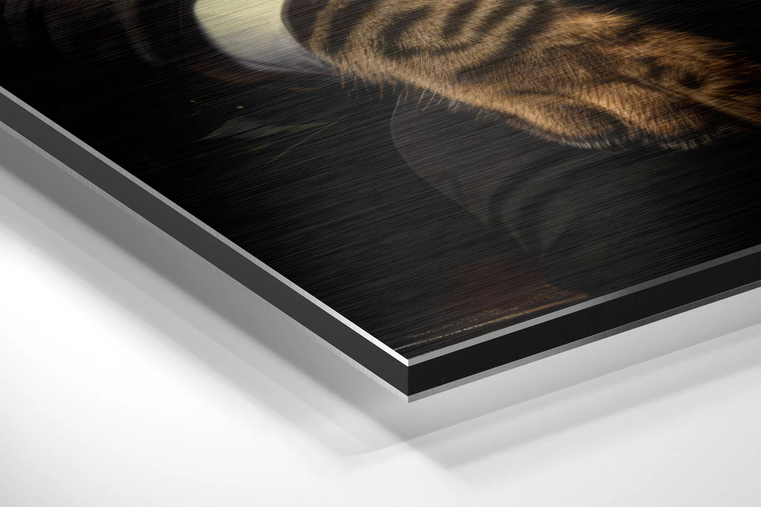 Cat Boss Brushed Aluminum Dibond Wall Art - Image 2