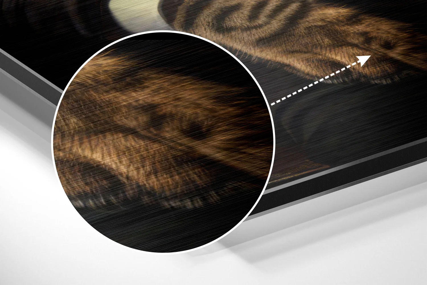 Cat Boss Brushed Aluminum Dibond Wall Art - Image 3