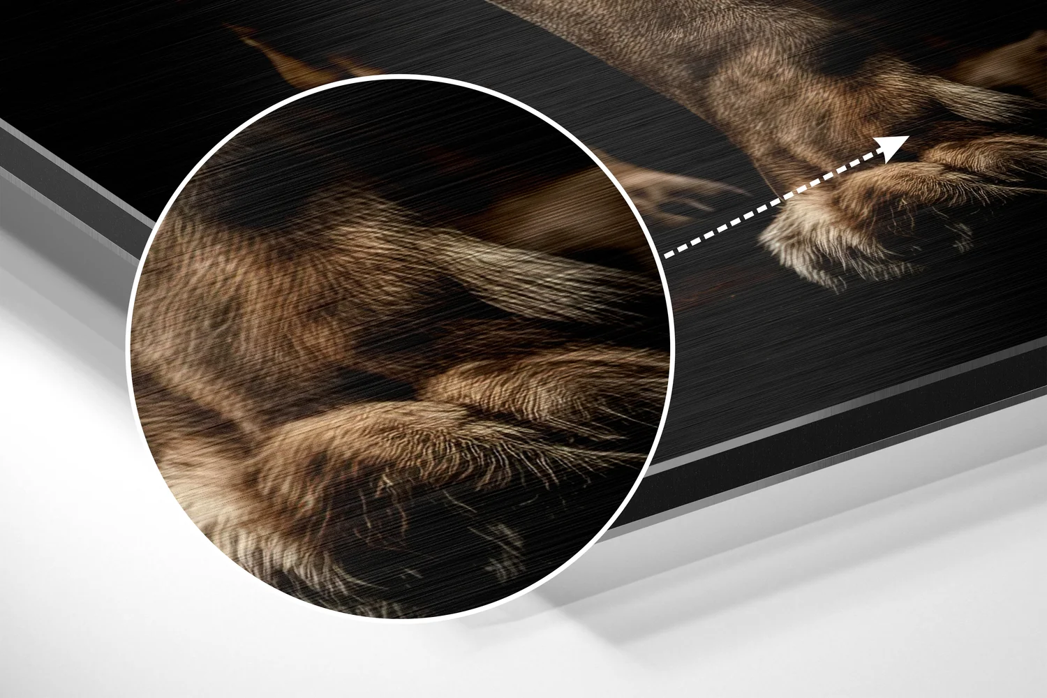 Lion Brushed Aluminum Dibond Wall Art - Image 3