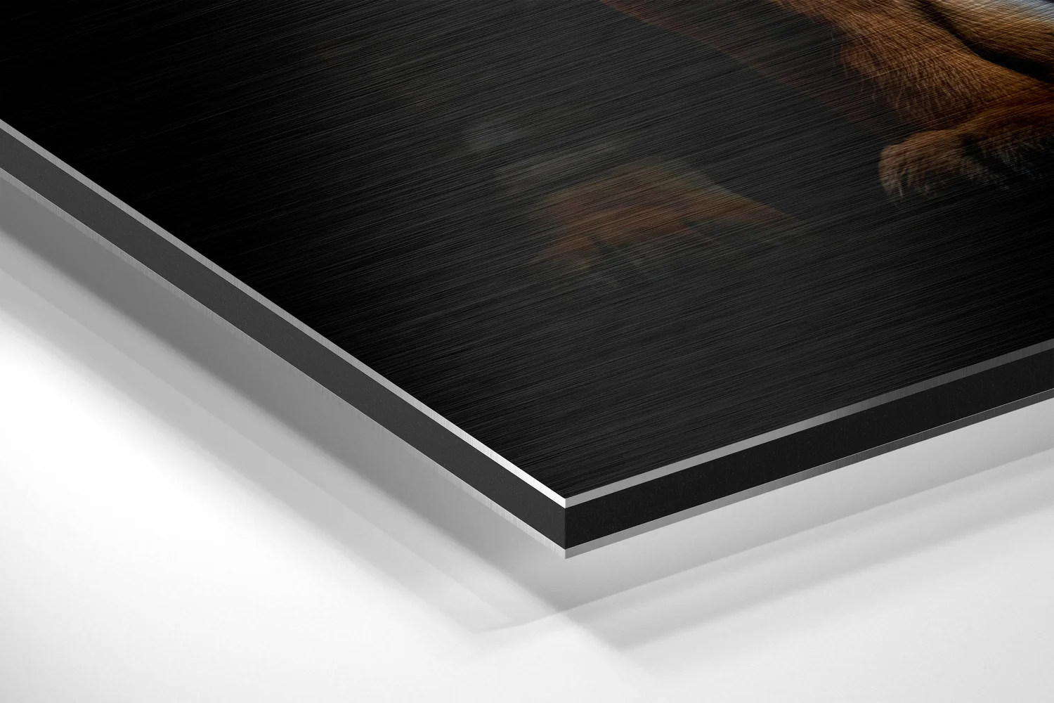 Tiger Brushed Aluminum Dibond Wall Art - Image 2