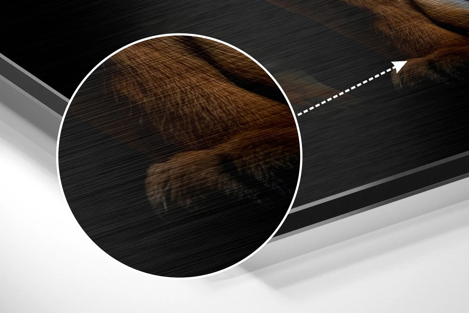 Tiger Brushed Aluminum Dibond Wall Art - Image 3