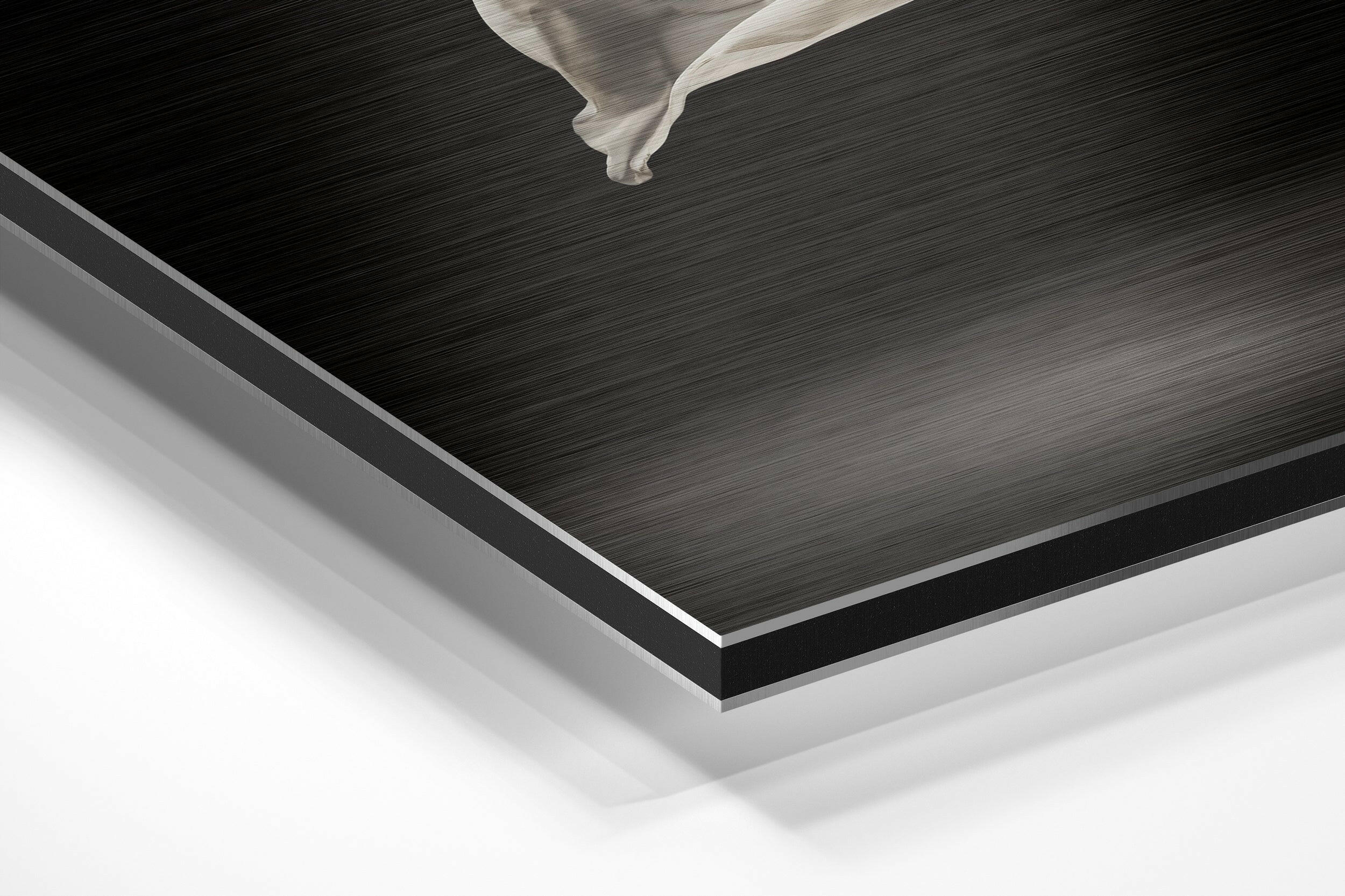 Ballerina Brushed Aluminium Dibond Wall Art - Image 2