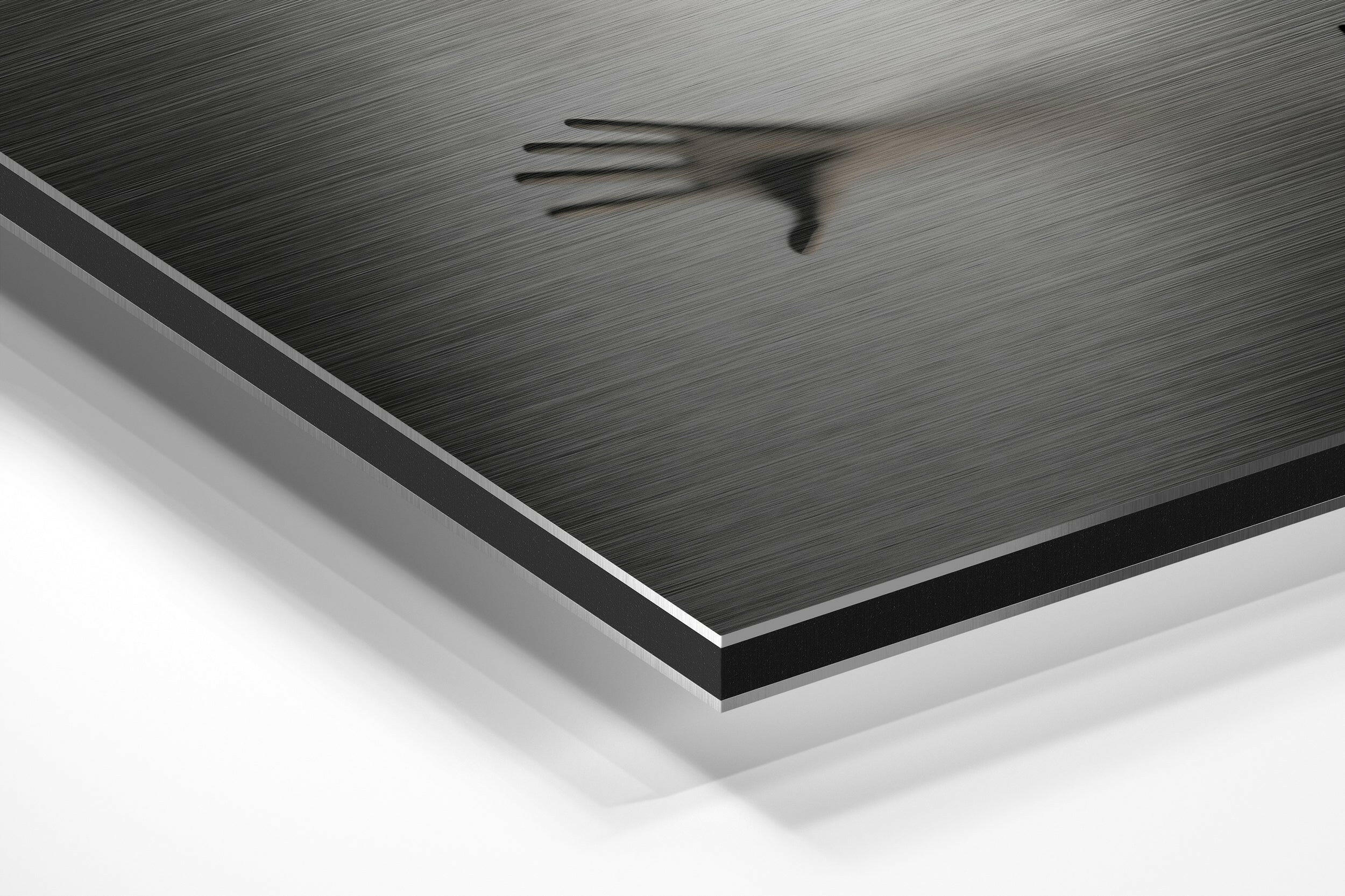 Hands Brushed Aluminium Dibond Wall Art - Image 2