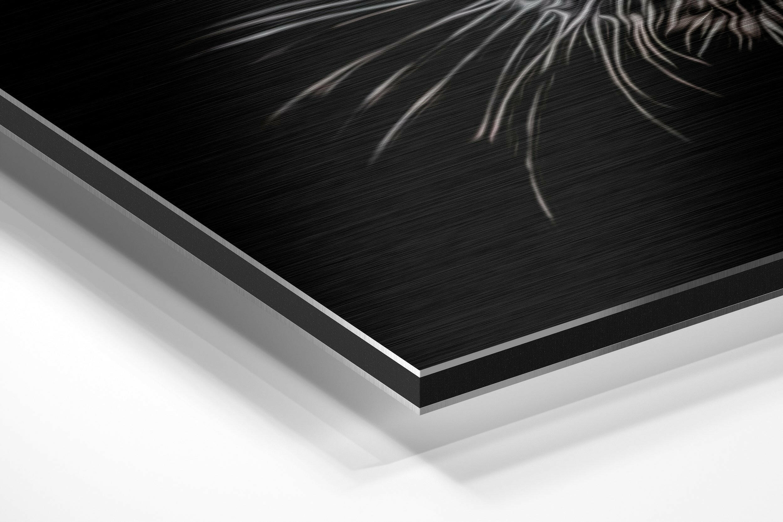 Black Panther Brushed Aluminium Dibond Wall Art - Image 2