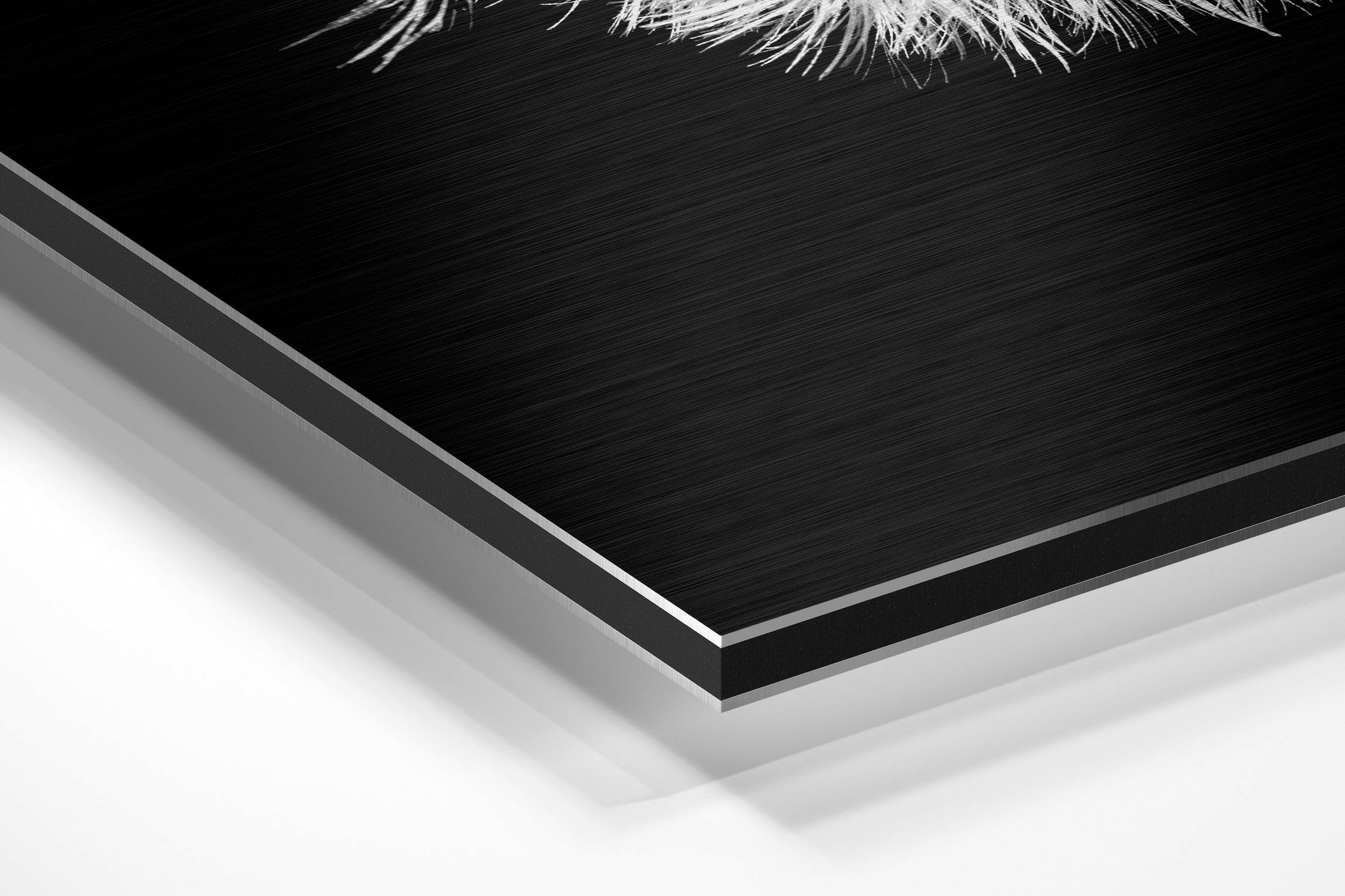 Dandelion Brushed Aluminium Dibond Wall Art - Image 2