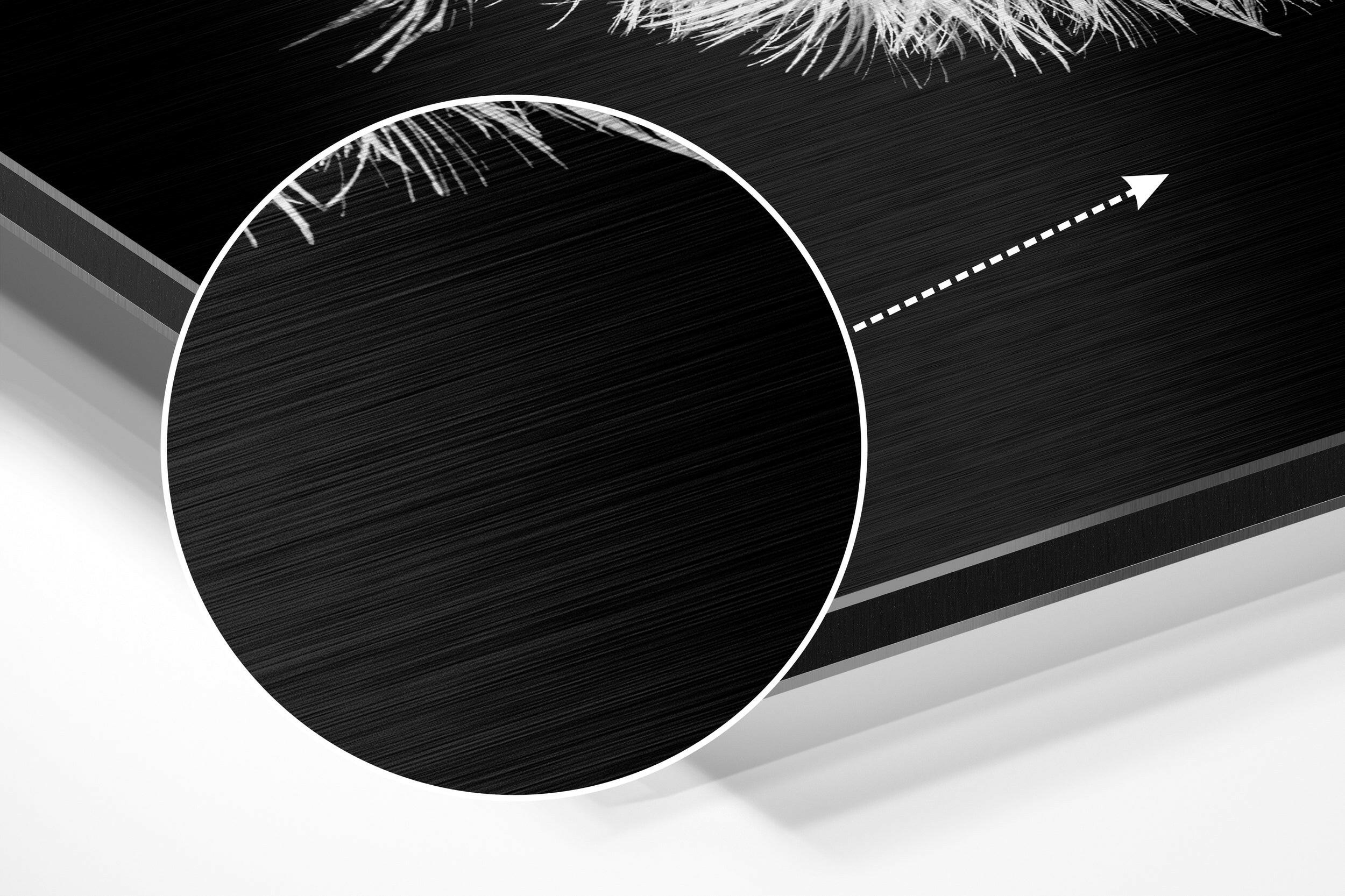 Dandelion Brushed Aluminium Dibond Wall Art - Image 3