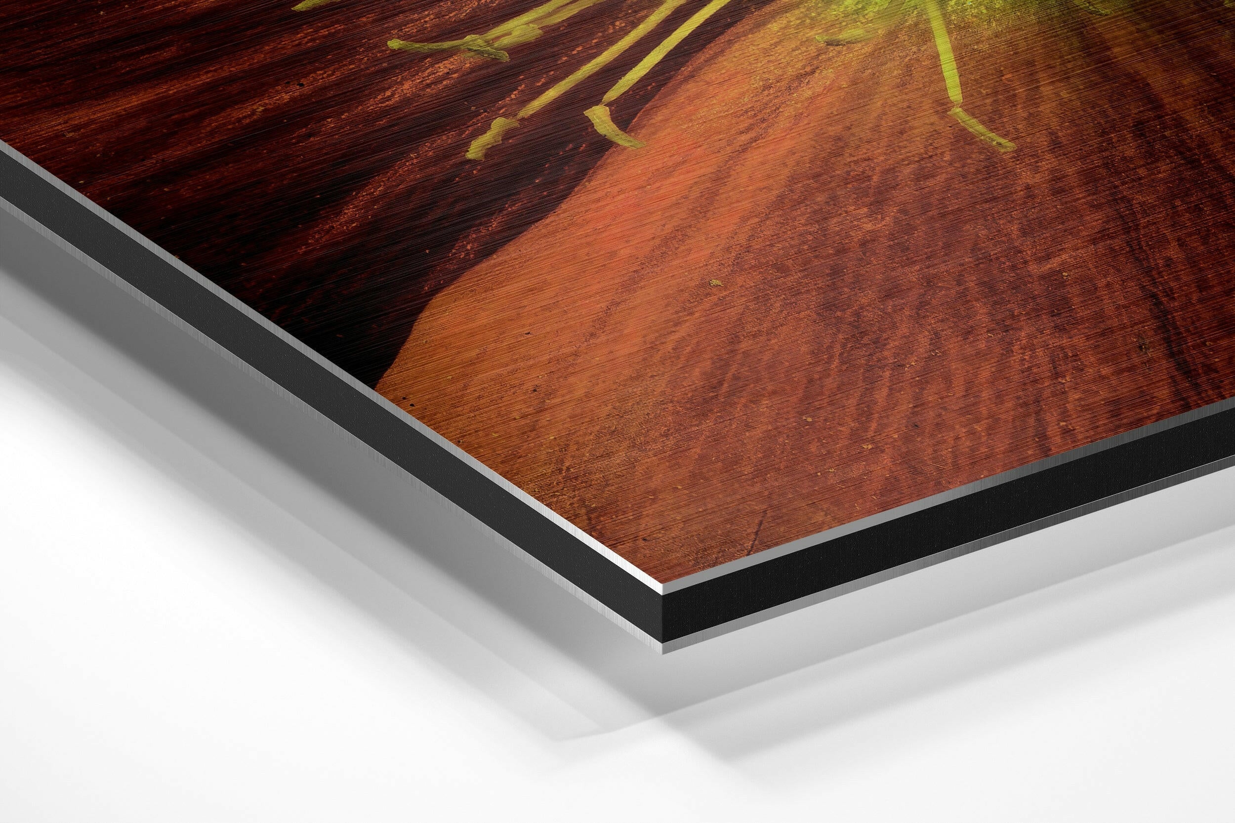 Flower Brushed Aluminium Dibond Wall Art - Image 2