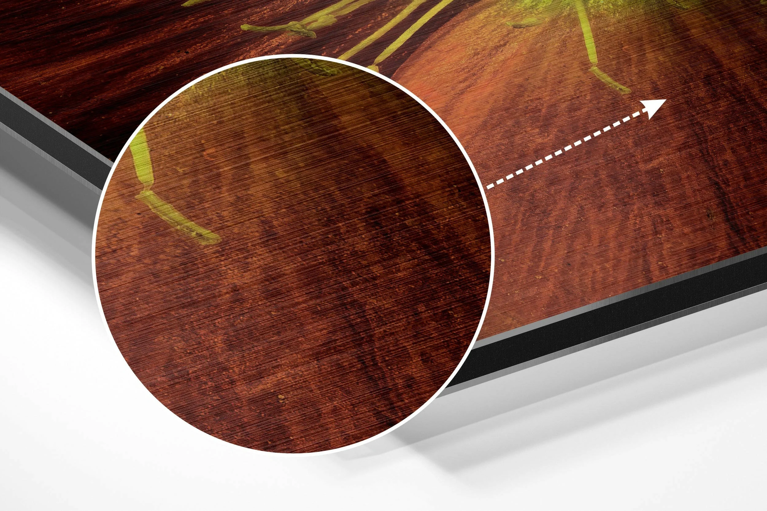 Flower Brushed Aluminium Dibond Wall Art - Image 3