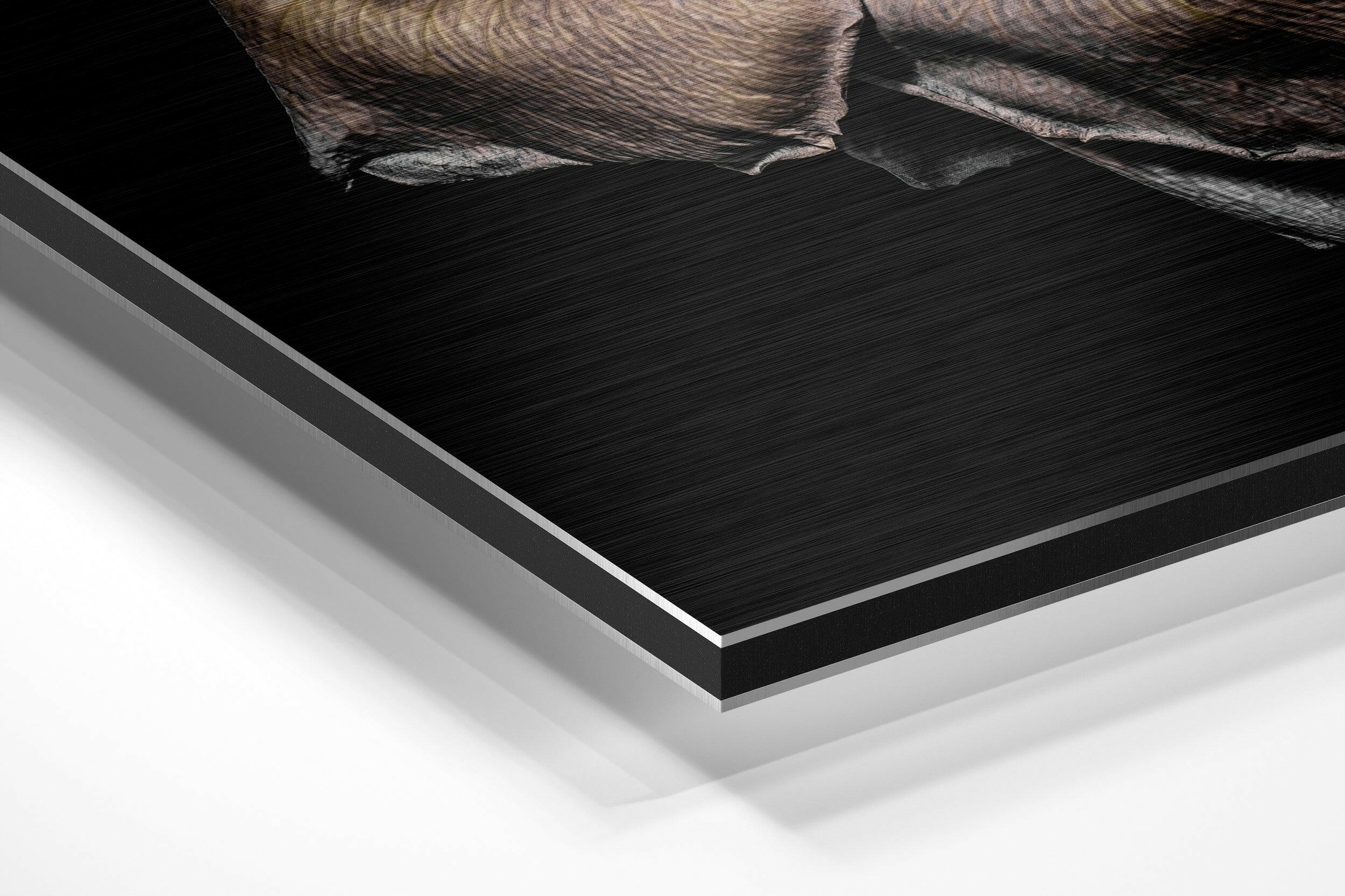 Rose Brushed Aluminium Dibond Wall Art - Image 2