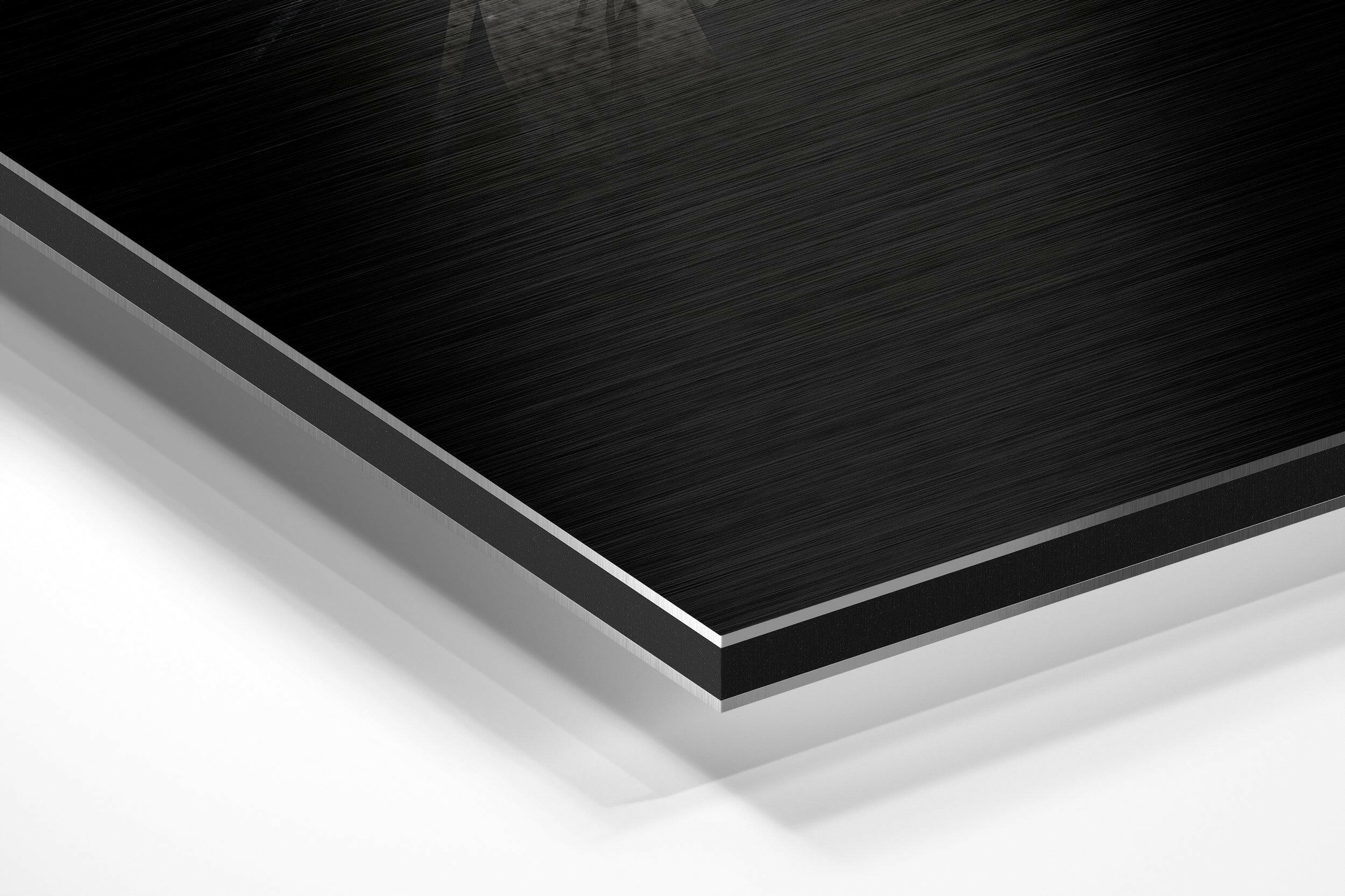 Bird Brushed Aluminium Dibond Wall Art - Image 2