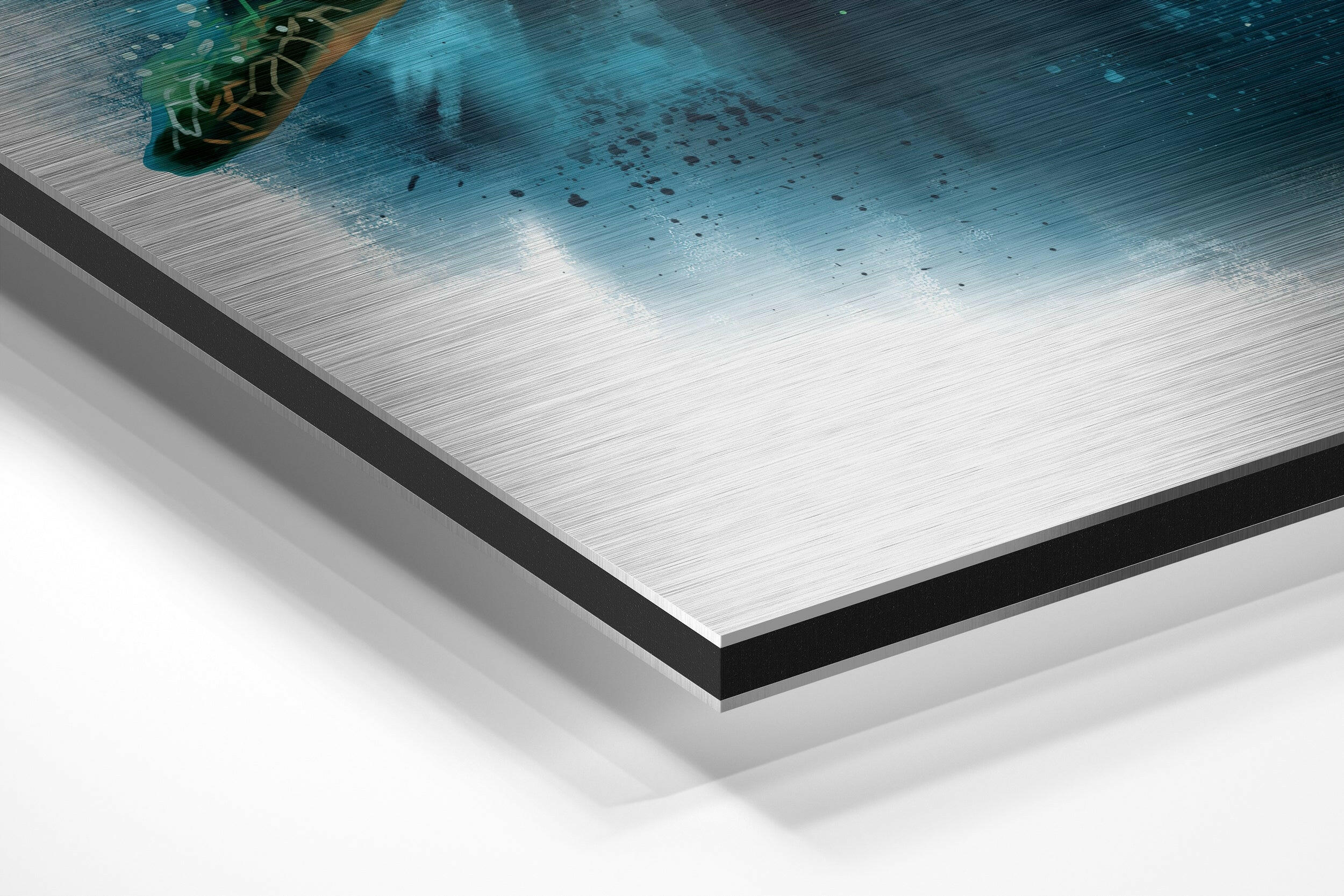 Turtle Brushed Aluminium Dibond Wall Art - Image 2