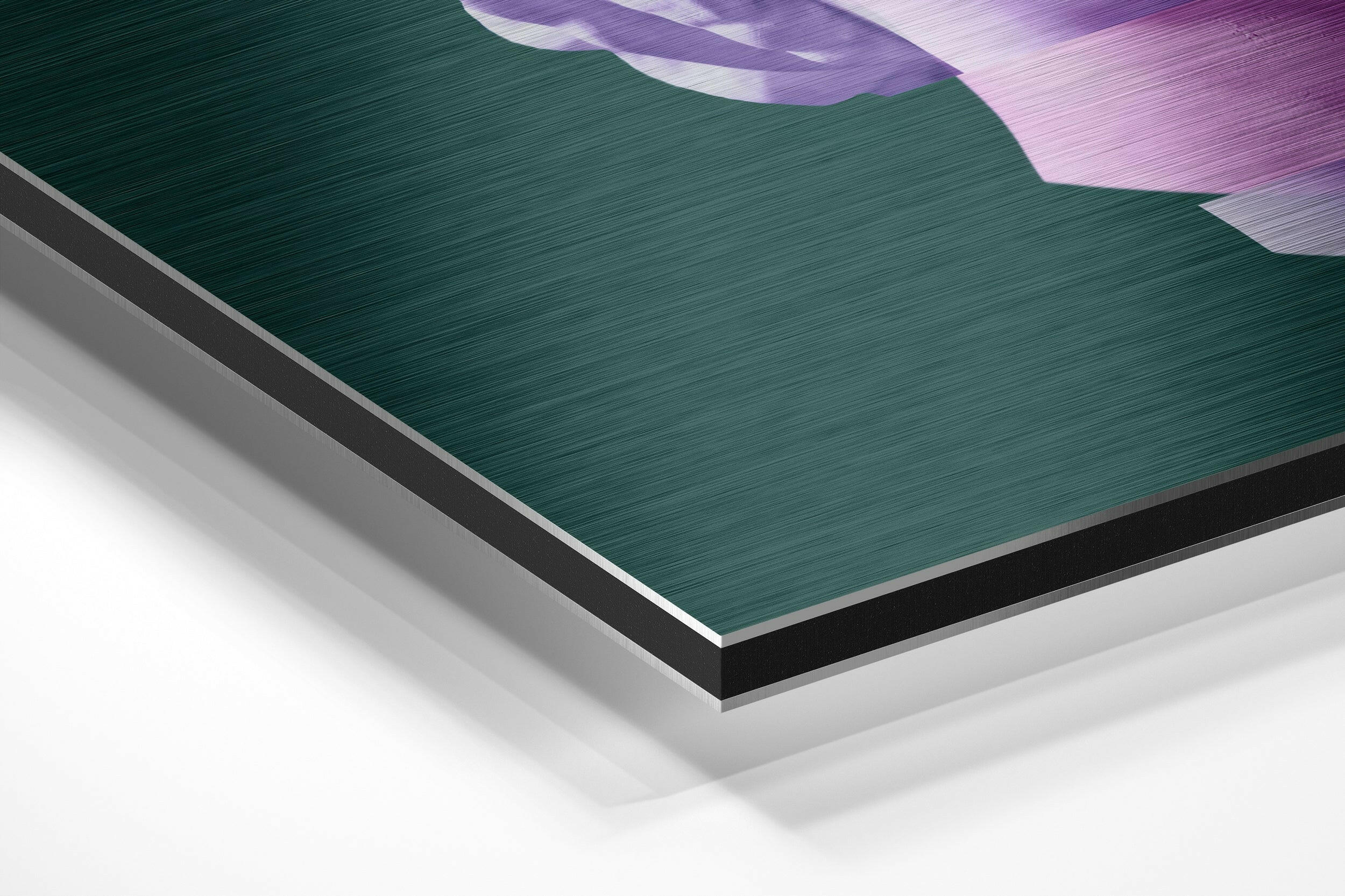 The Art of Sculpture Brushed Aluminium Dibond Wall Art - Image 2