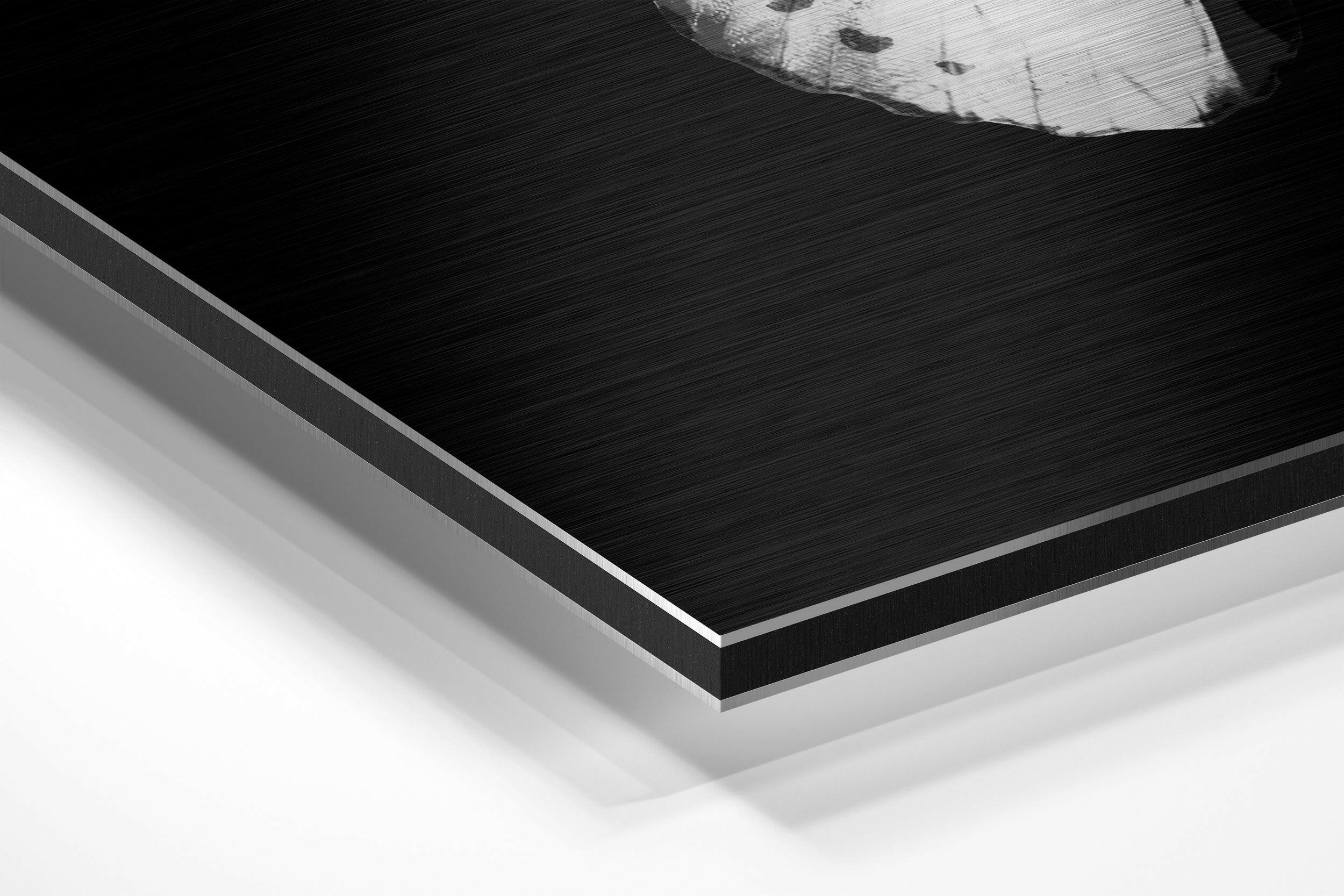 Butterfly Brushed Aluminium Dibond Wall Art - Image 2