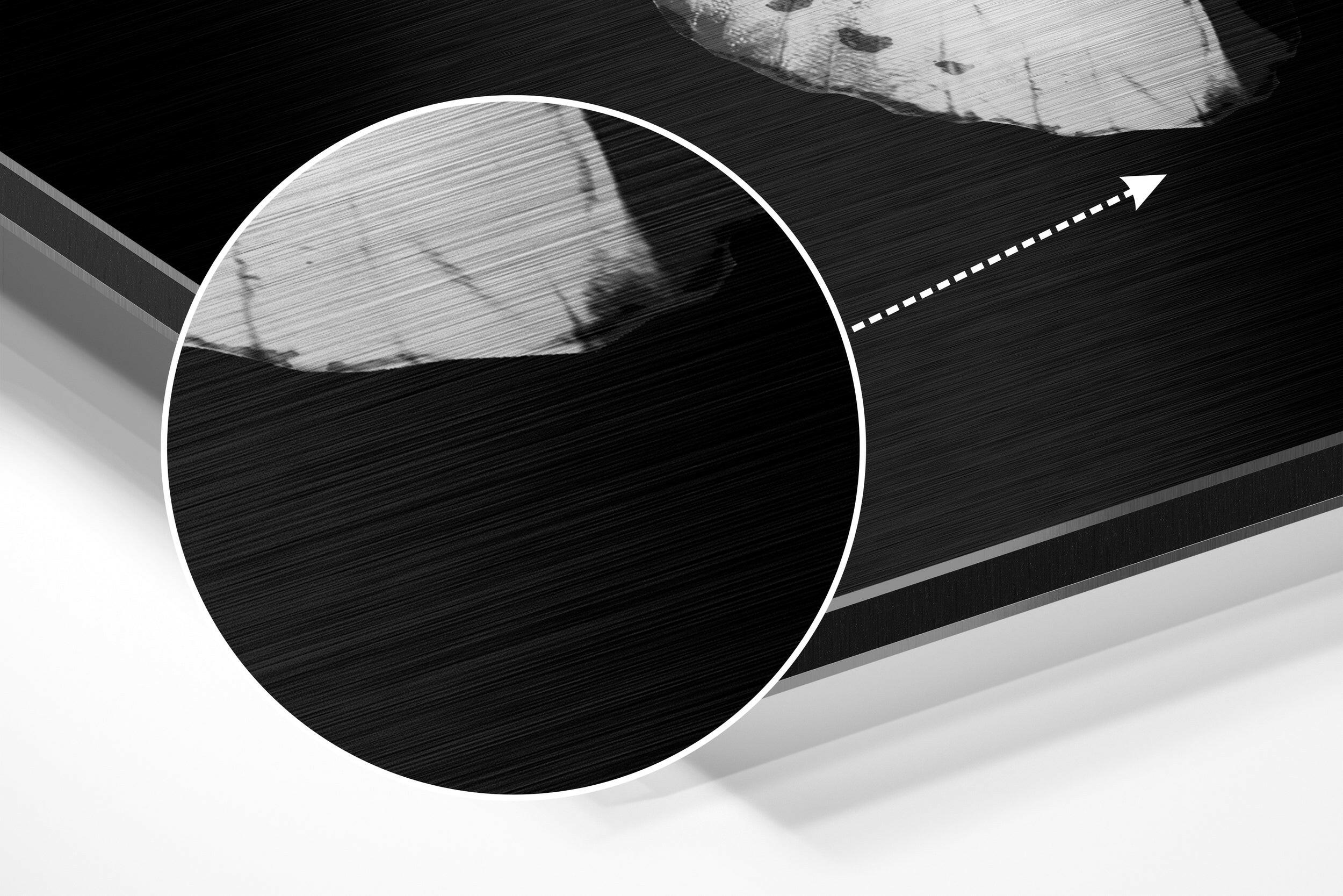 Butterfly Brushed Aluminium Dibond Wall Art - Image 3