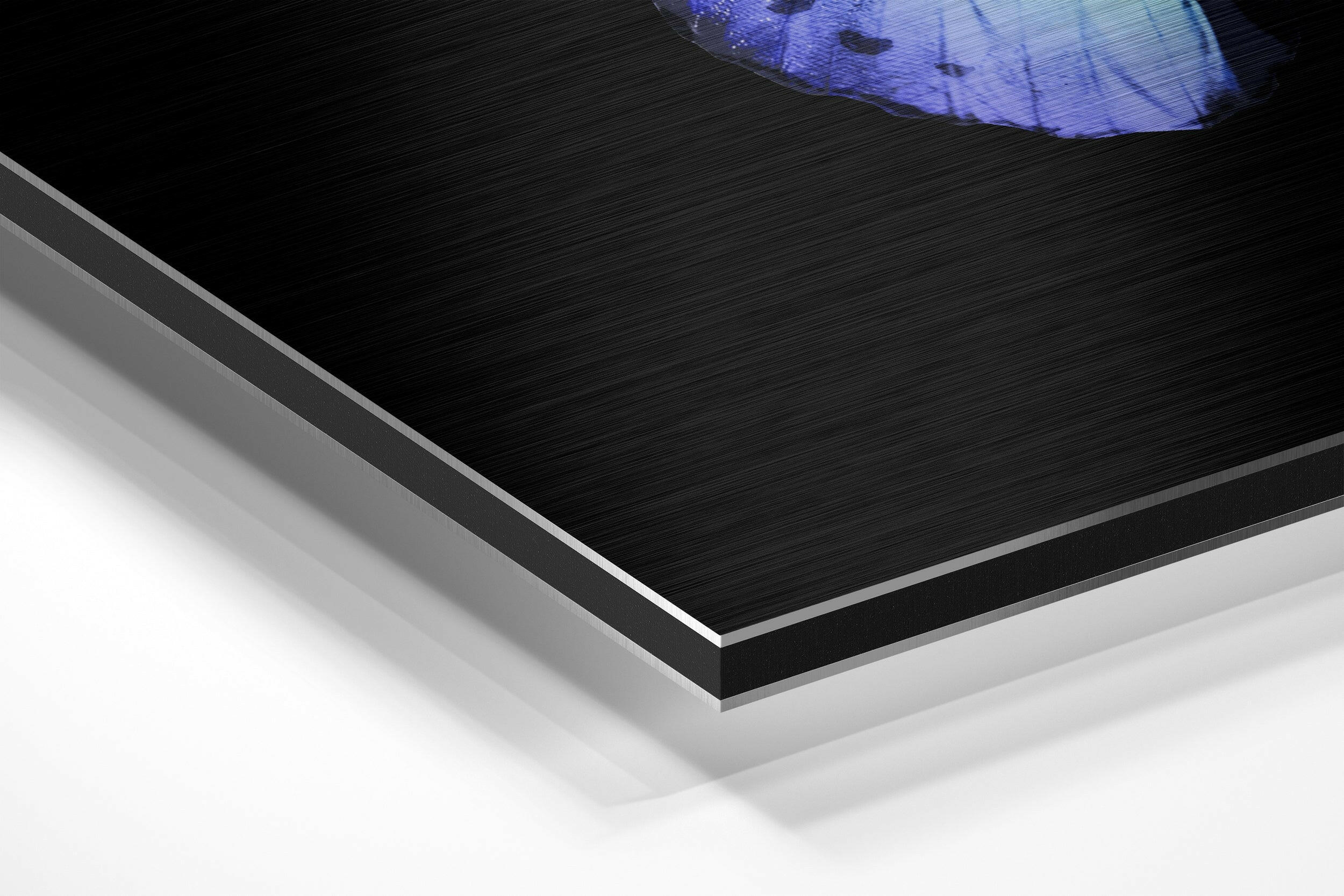 Butterfly Brushed Aluminium Dibond Wall Art - Image 2