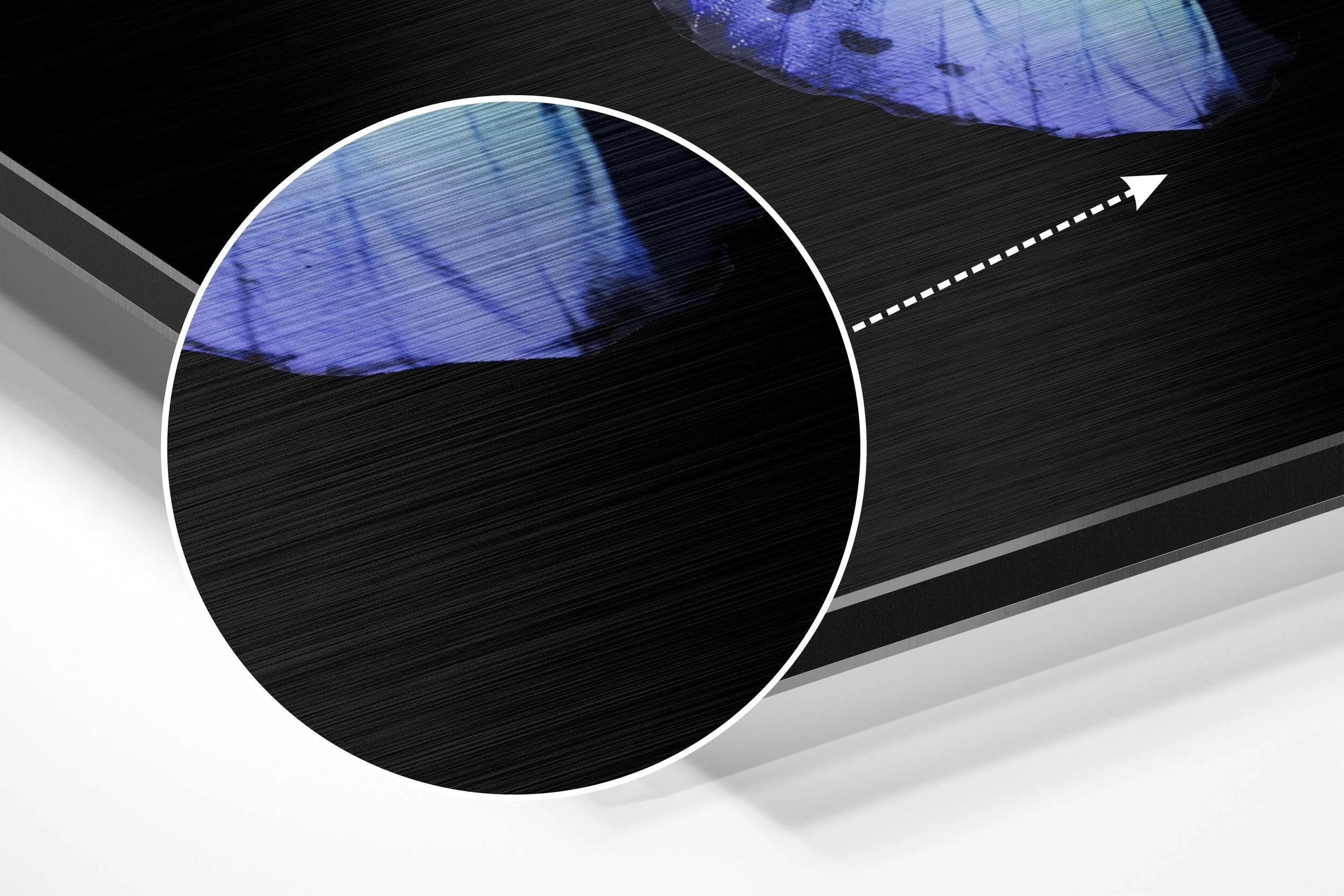 Butterfly Brushed Aluminium Dibond Wall Art - Image 3