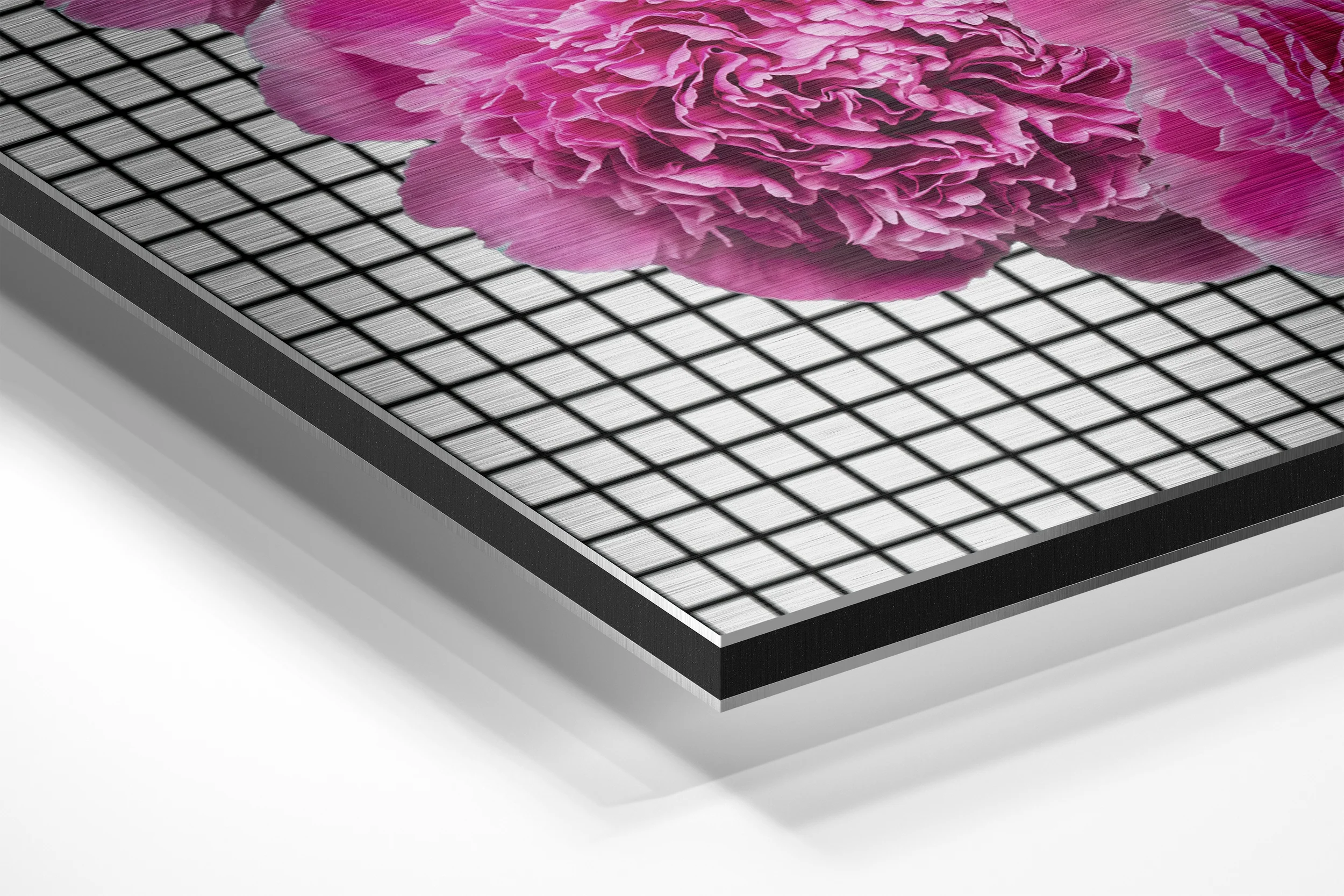 Lips Brushed Aluminium Dibond Wall Art - Image 2