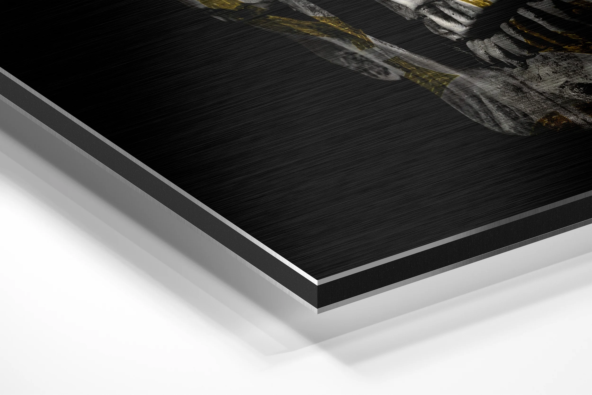 Skull Brushed Aluminium Dibond Wall Art - Image 2