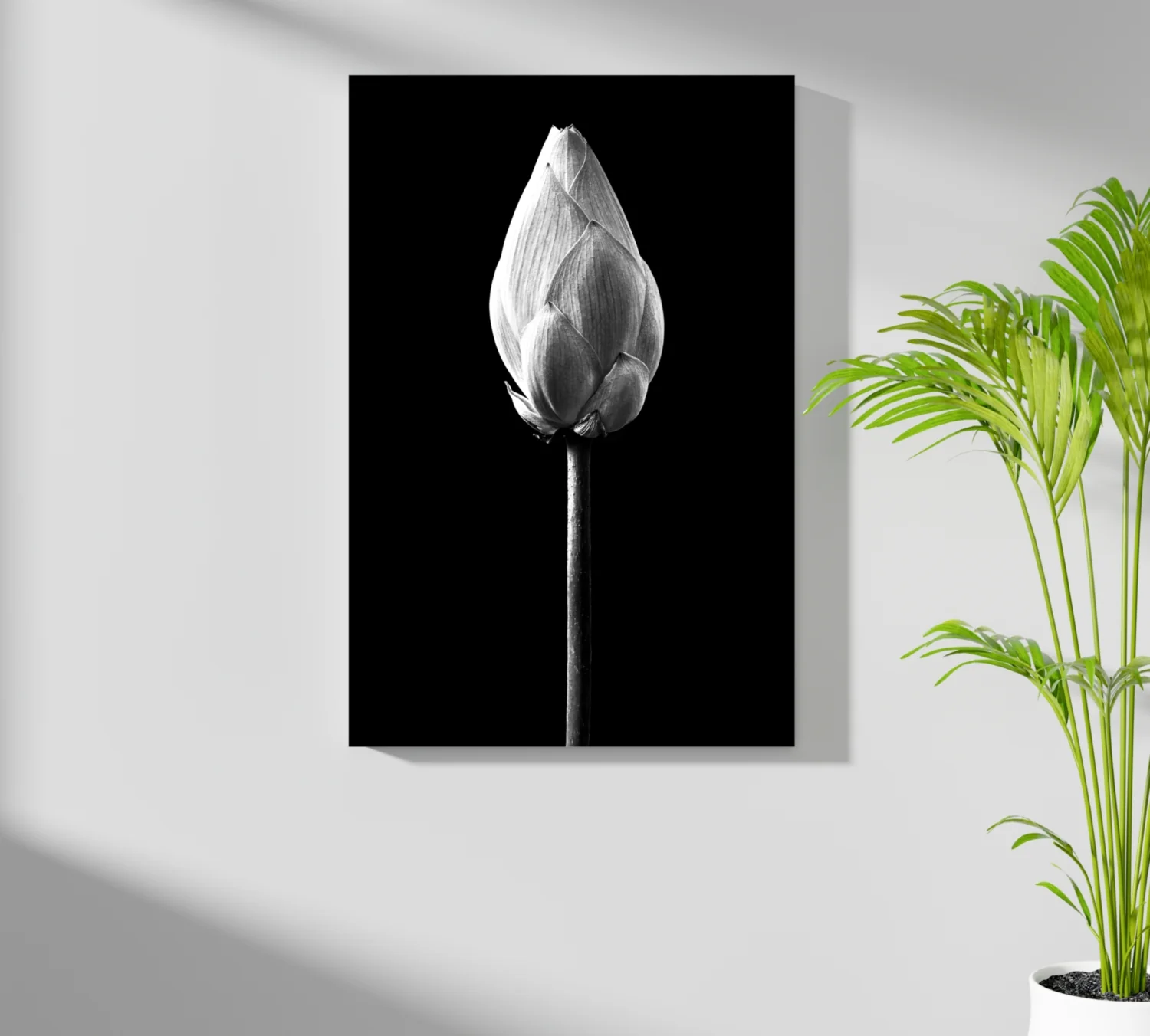 Flower Aluminum Print - Image 7