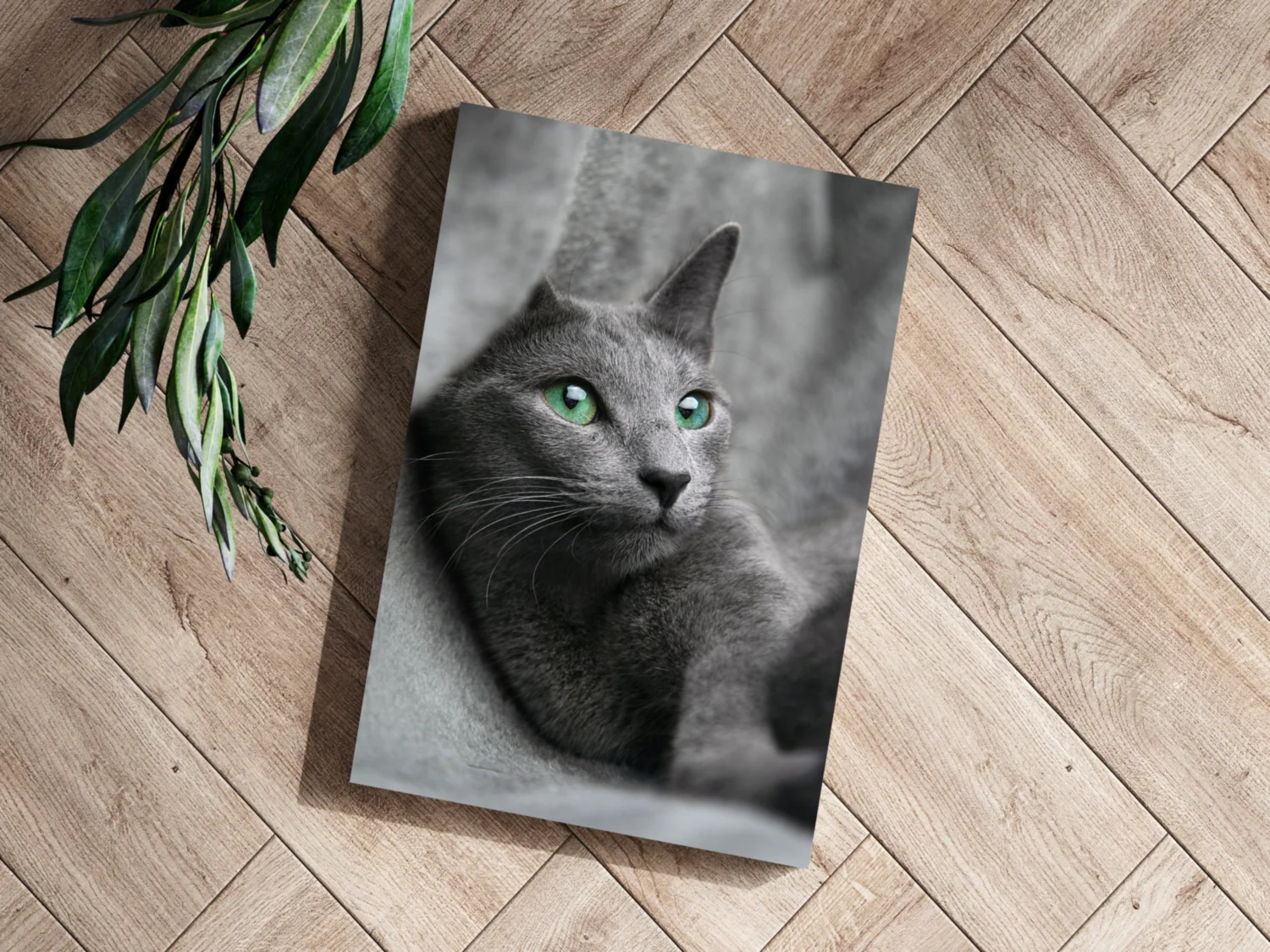 Cat Aluminum Print - Image 3