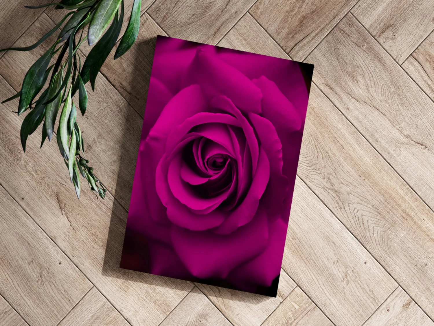 Rose Aluminum Print - Image 3
