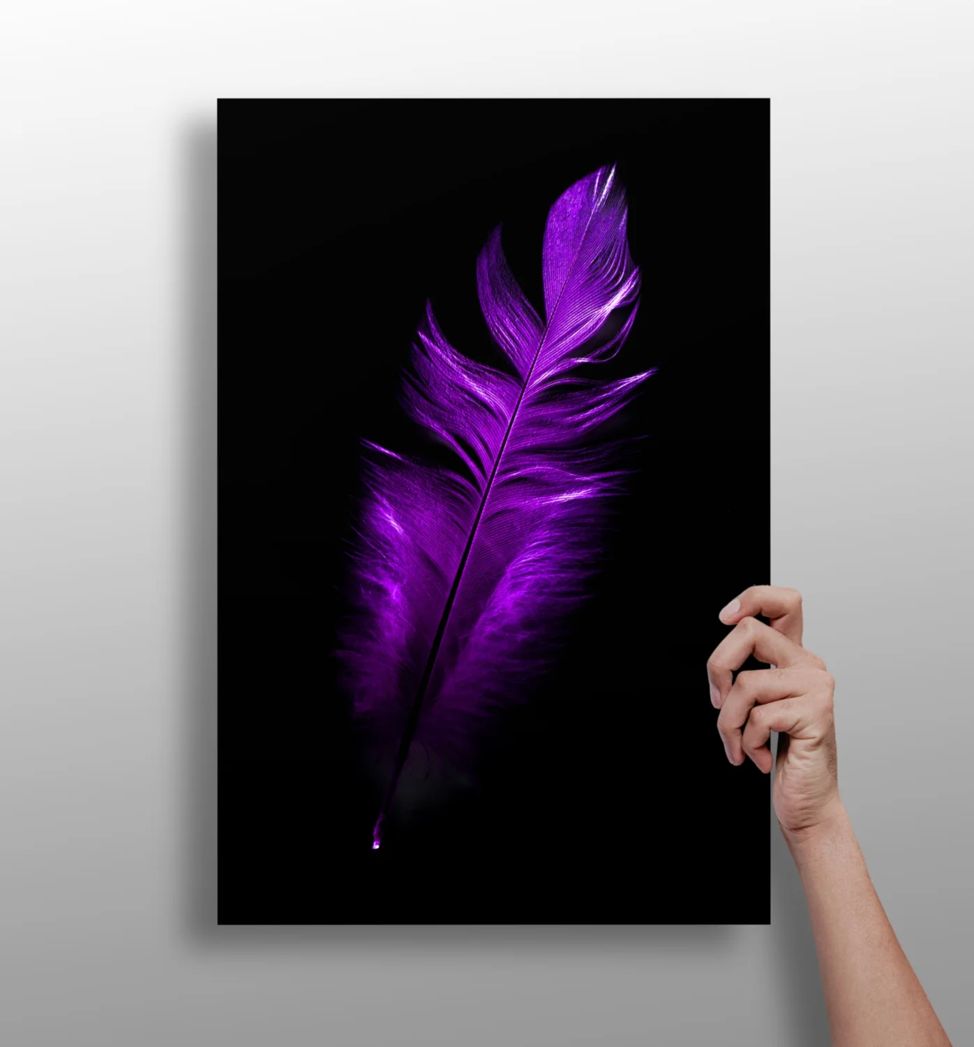 Purple Feather Aluminum Print