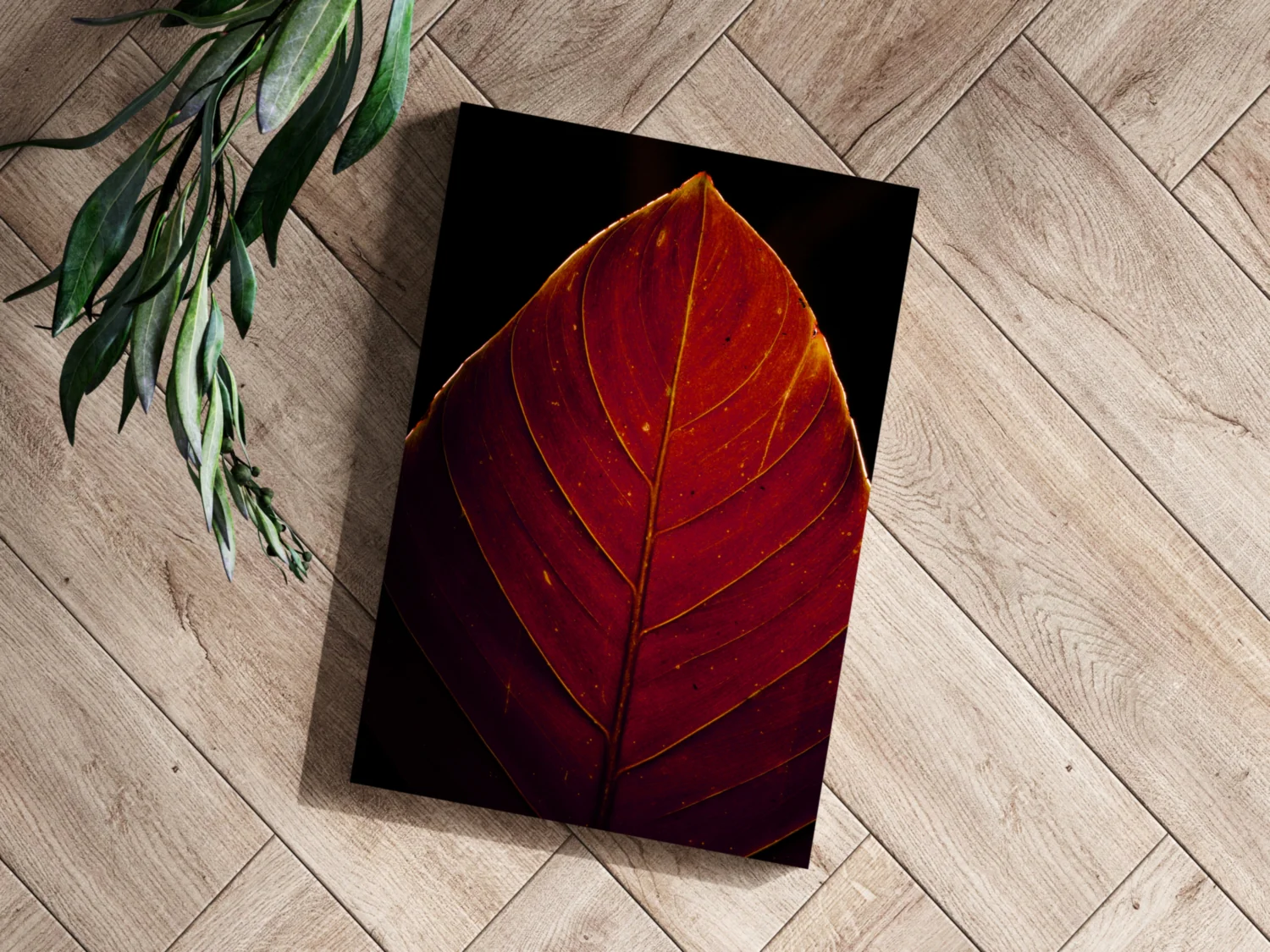 Red Leaf Aluminum Print - Image 3