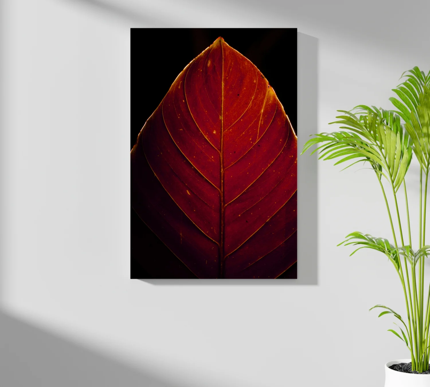 Red Leaf Aluminum Print - Image 7