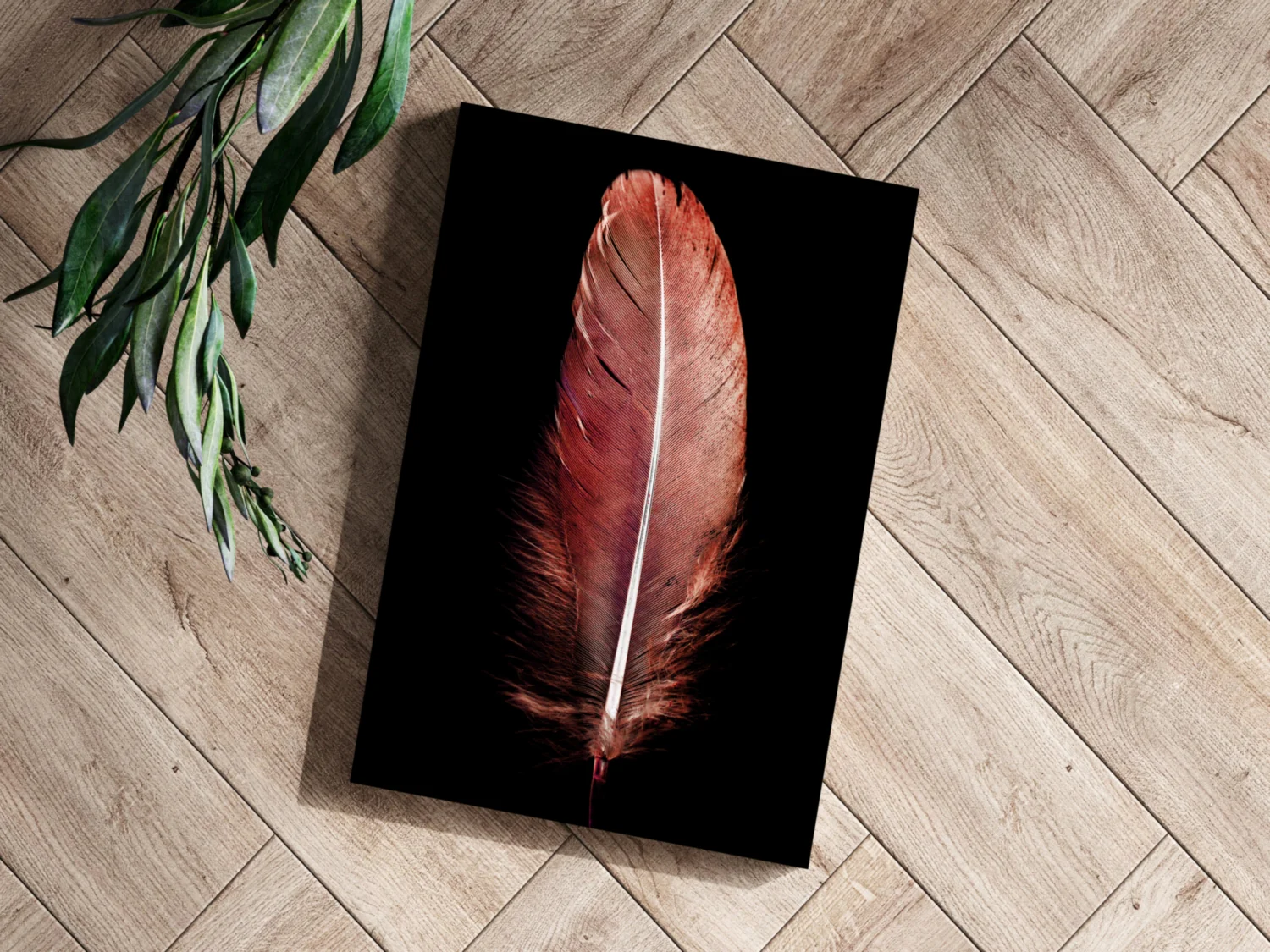Red Feather Aluminum Print - Image 3
