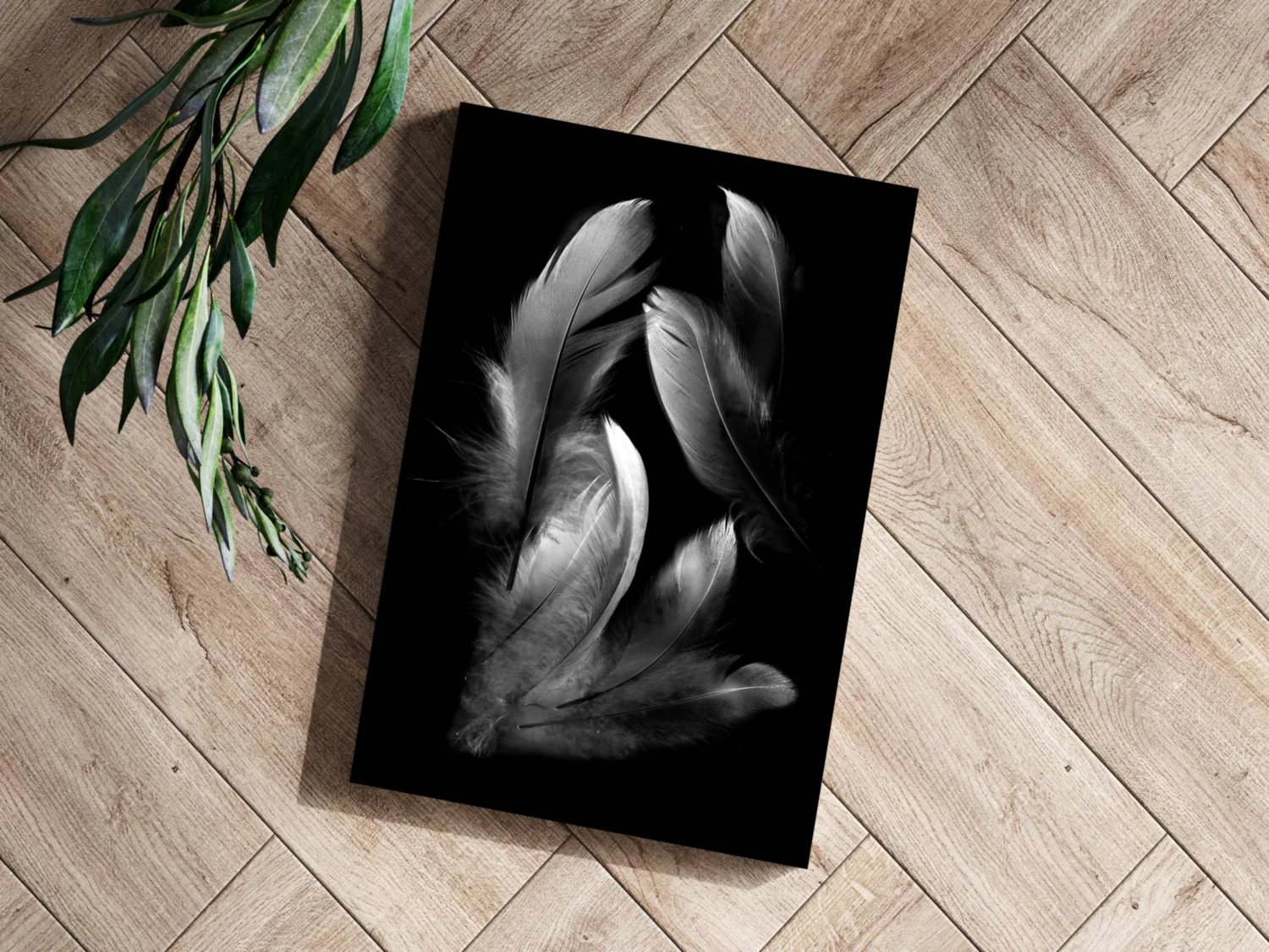 Feathers Aluminum Print - Image 3