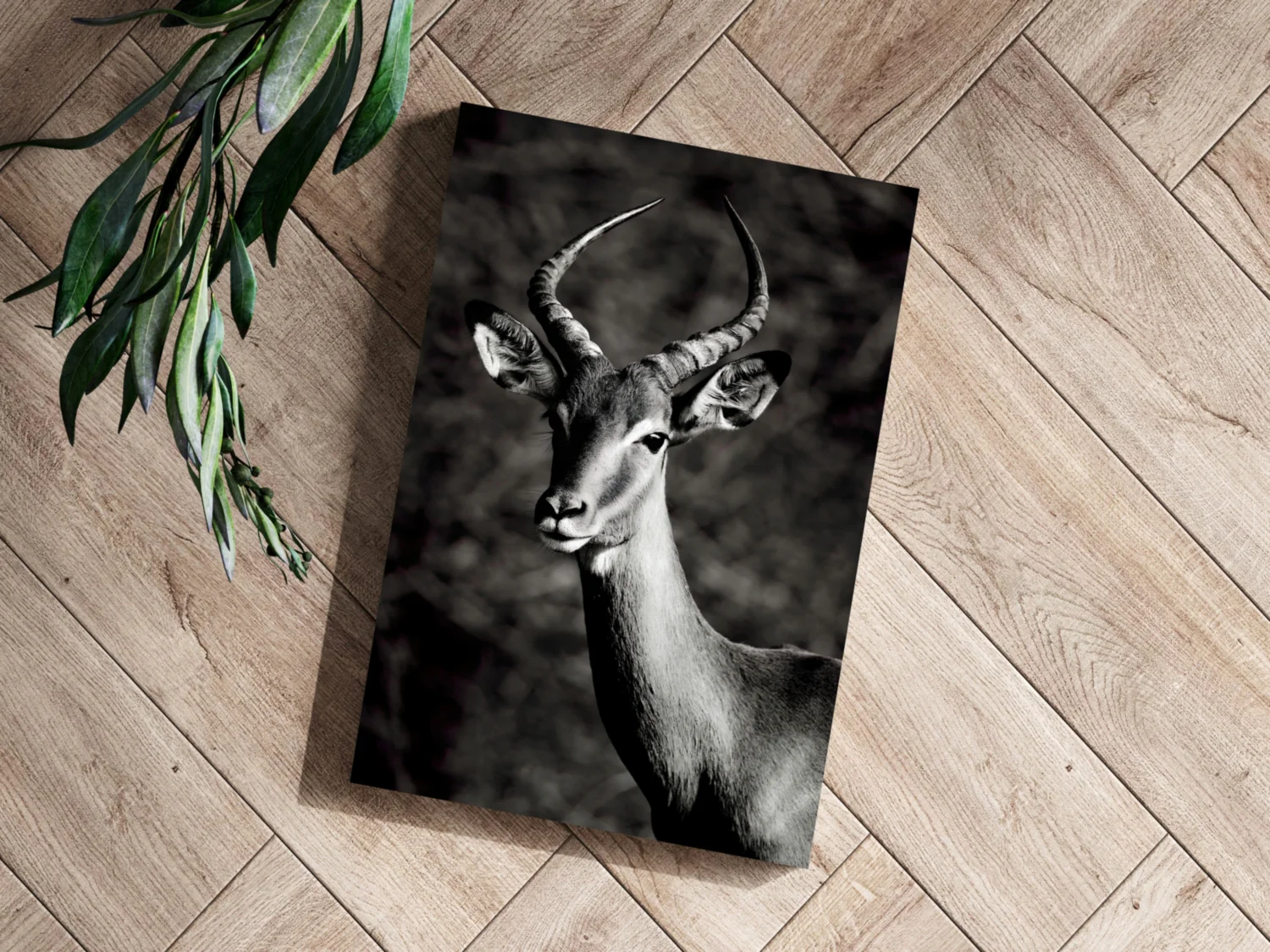 Antilope Aluminum Print - Image 3