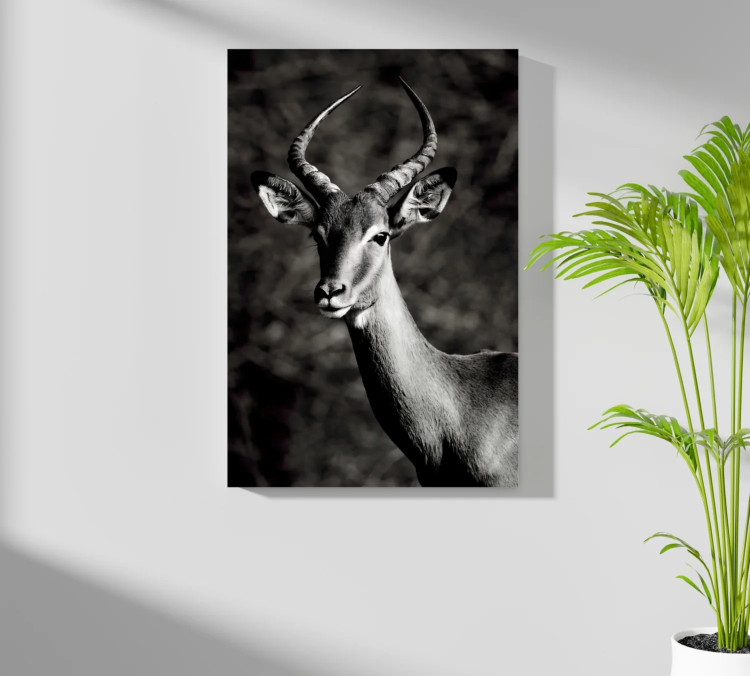 Antilope Aluminum Print - Image 7