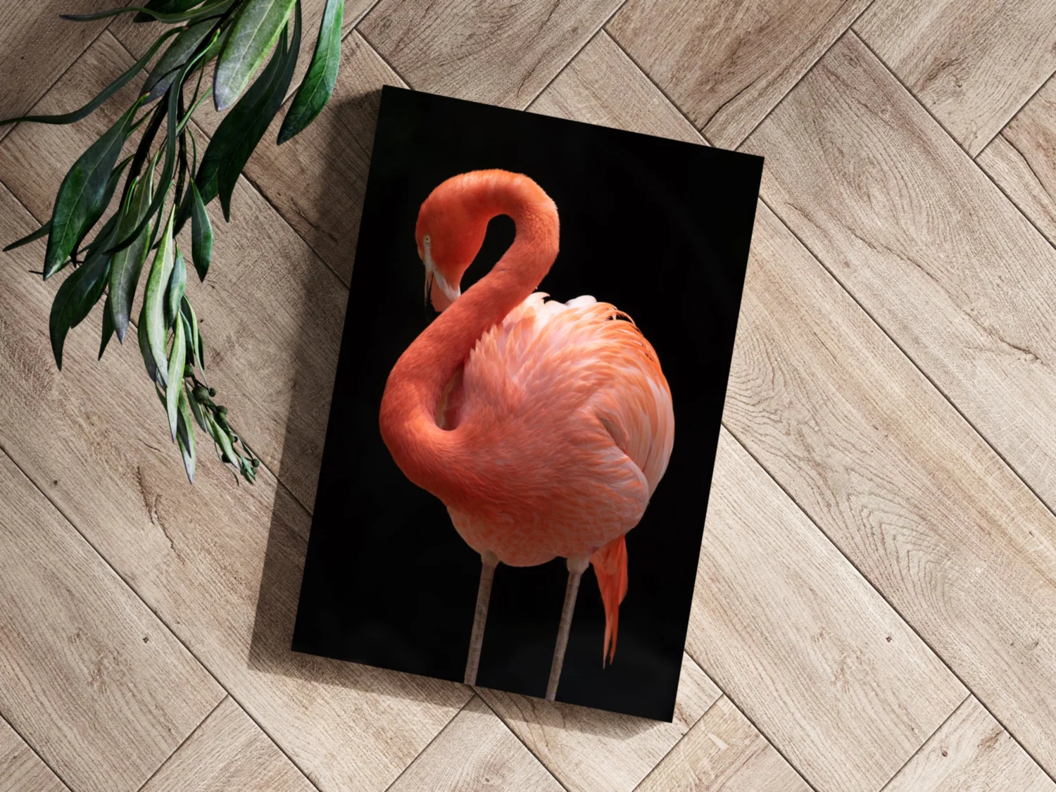 Flamingo Aluminum Print - Image 3