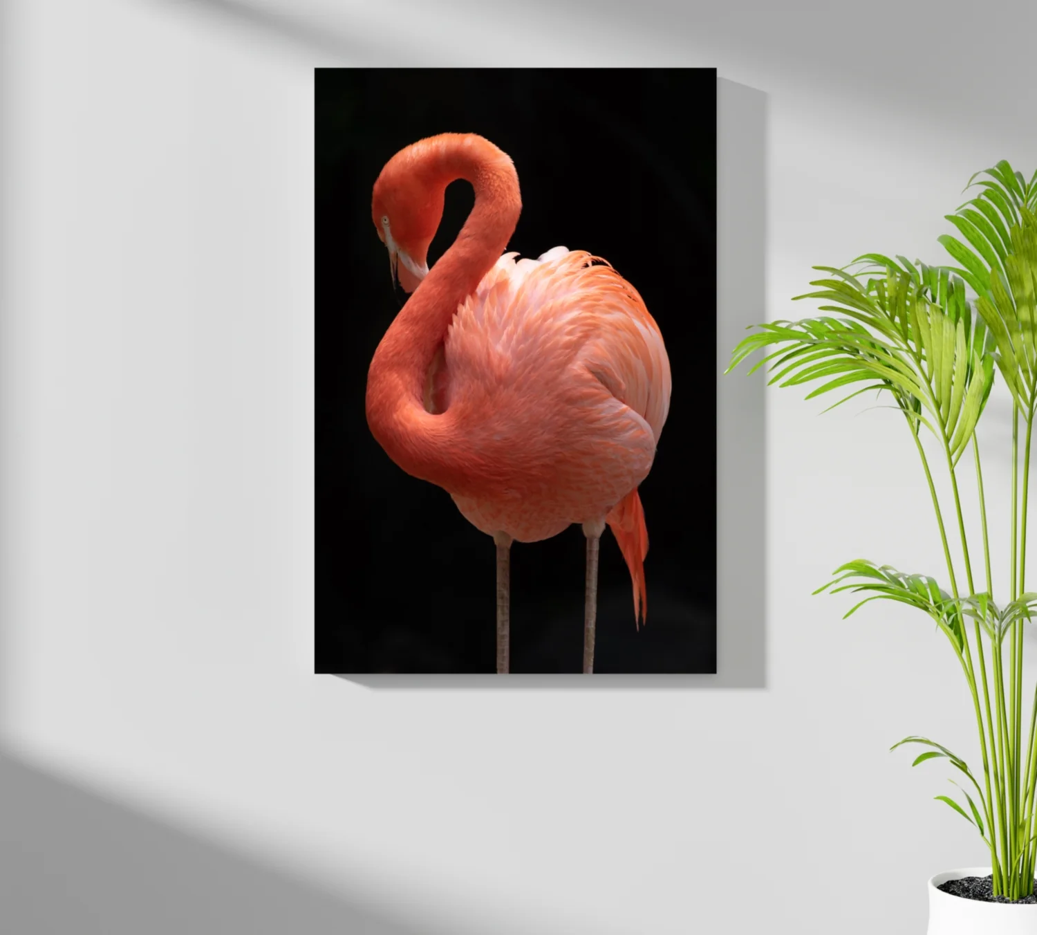 Flamingo Aluminum Print - Image 7
