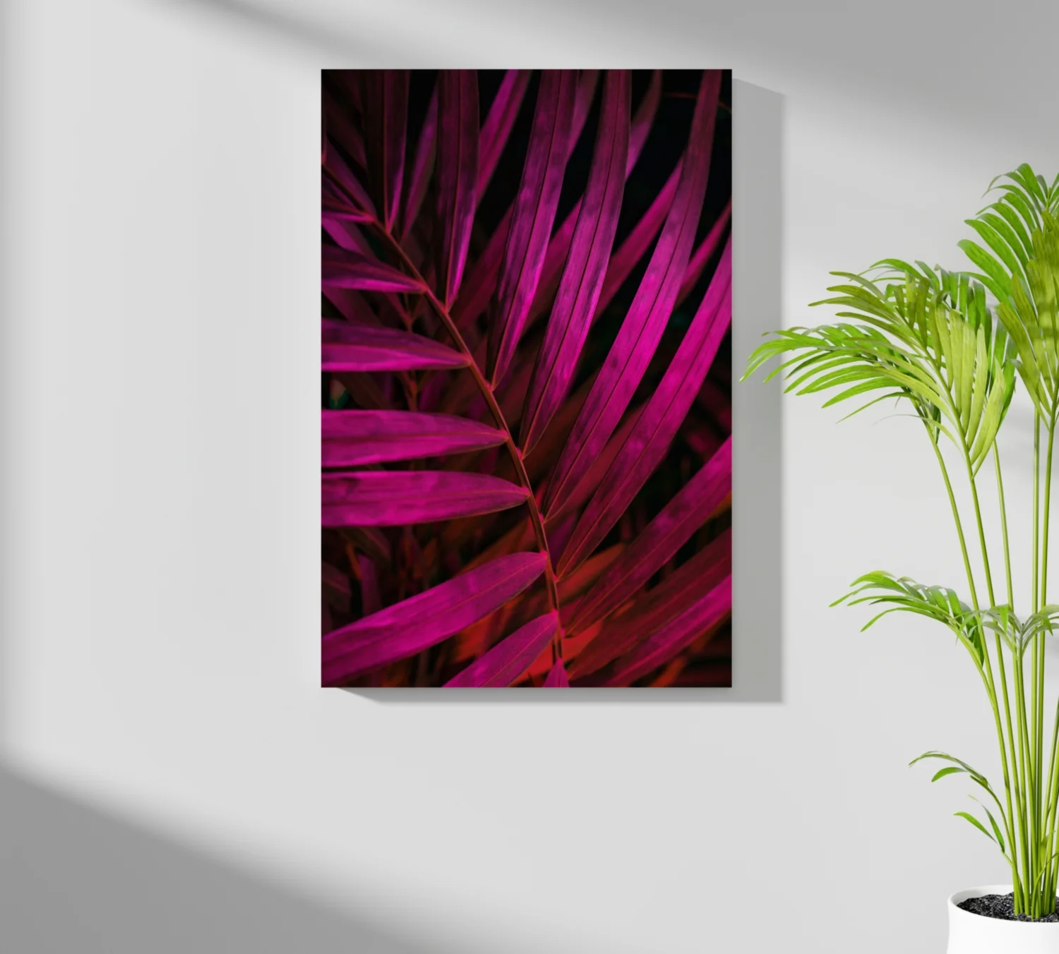 Fuschia Leaf Aluminum Print - Image 7