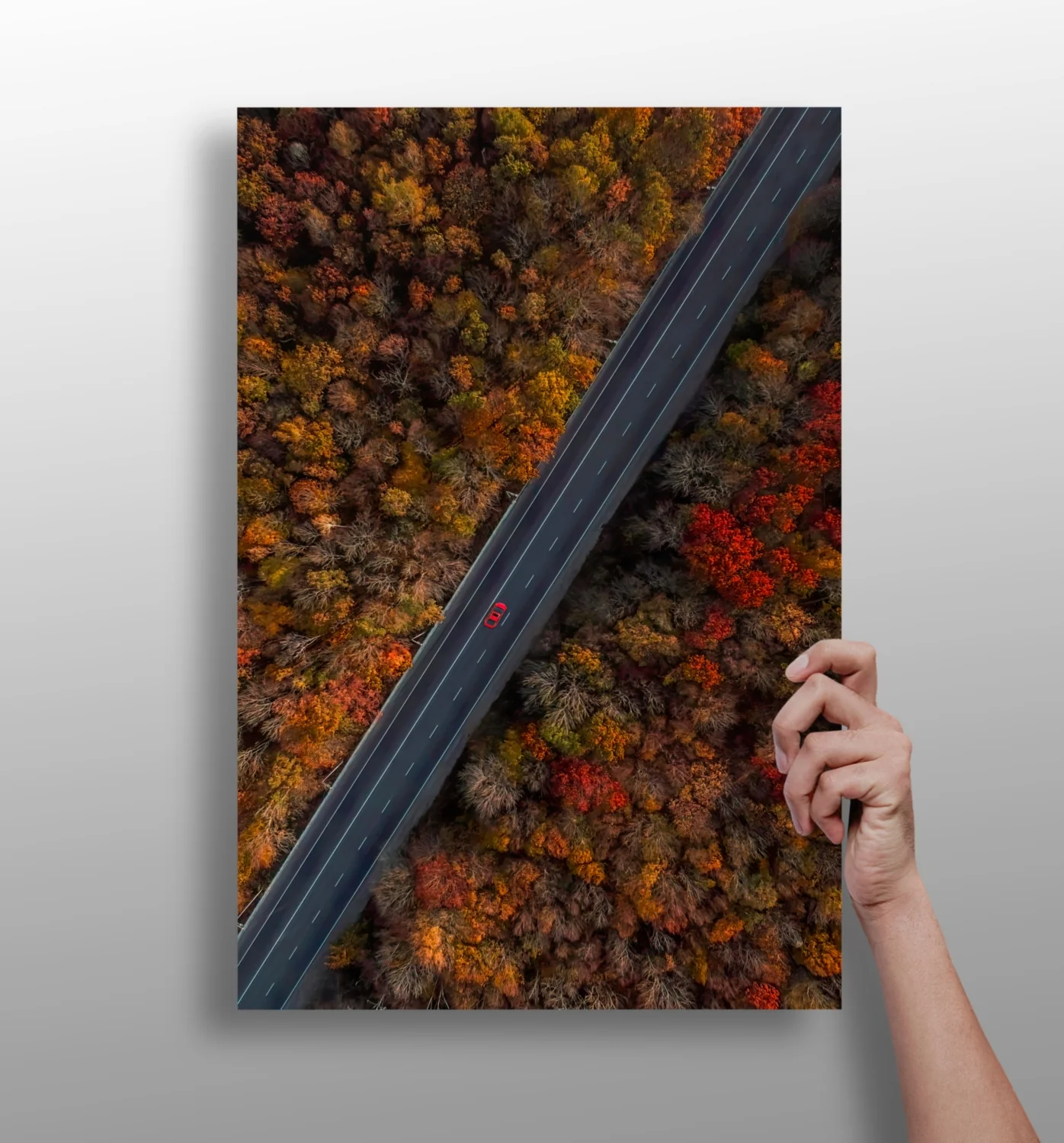 Outdoor Aluminum Print