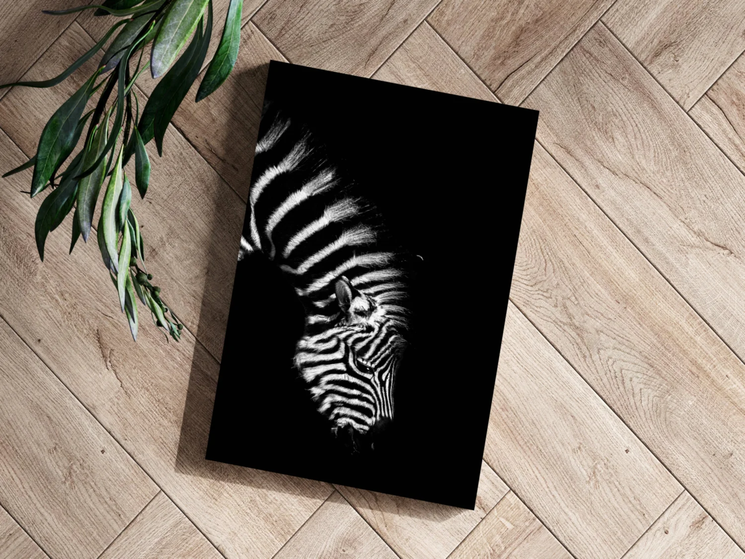 Zebra Aluminum Print - Image 3