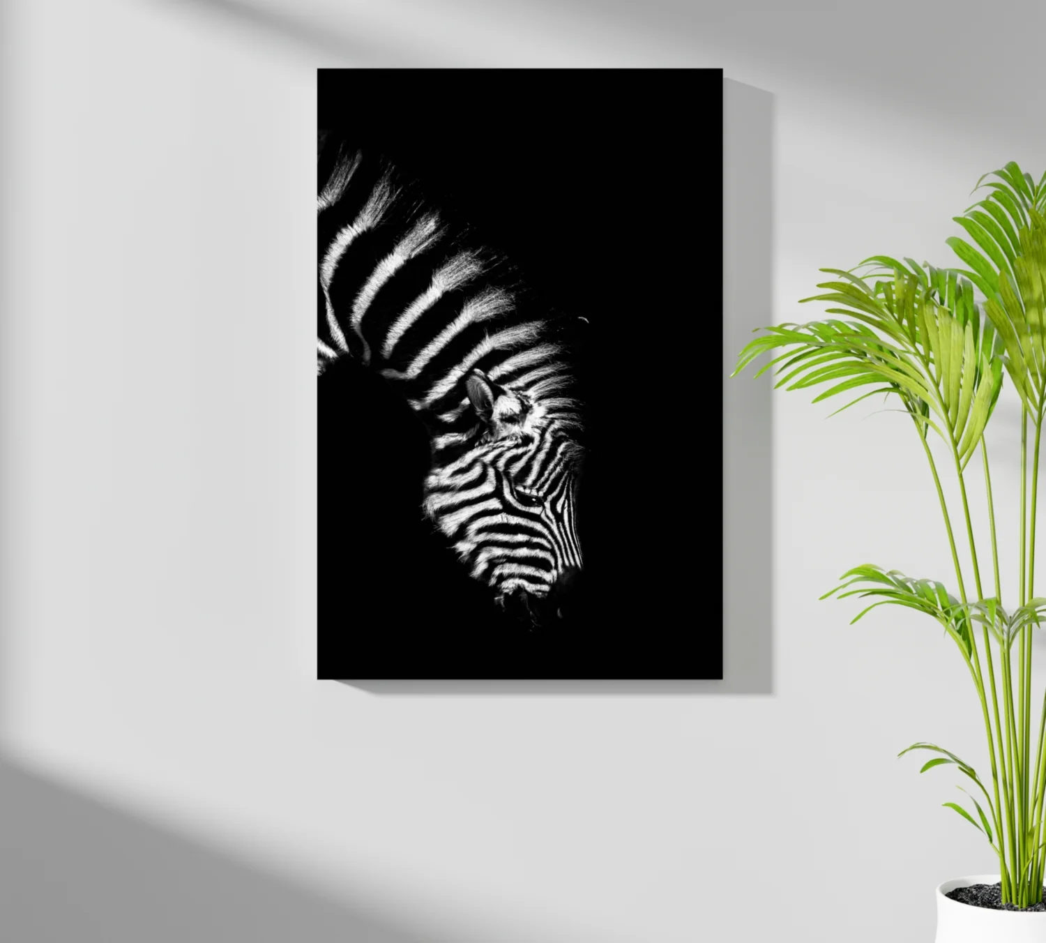 Zebra Aluminum Print - Image 7