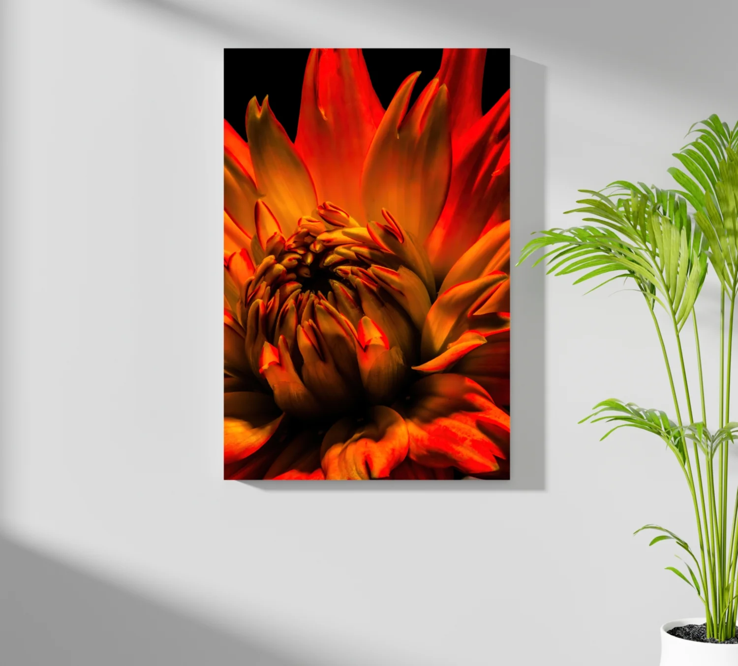 Elderflower Aluminum Print - Image 7
