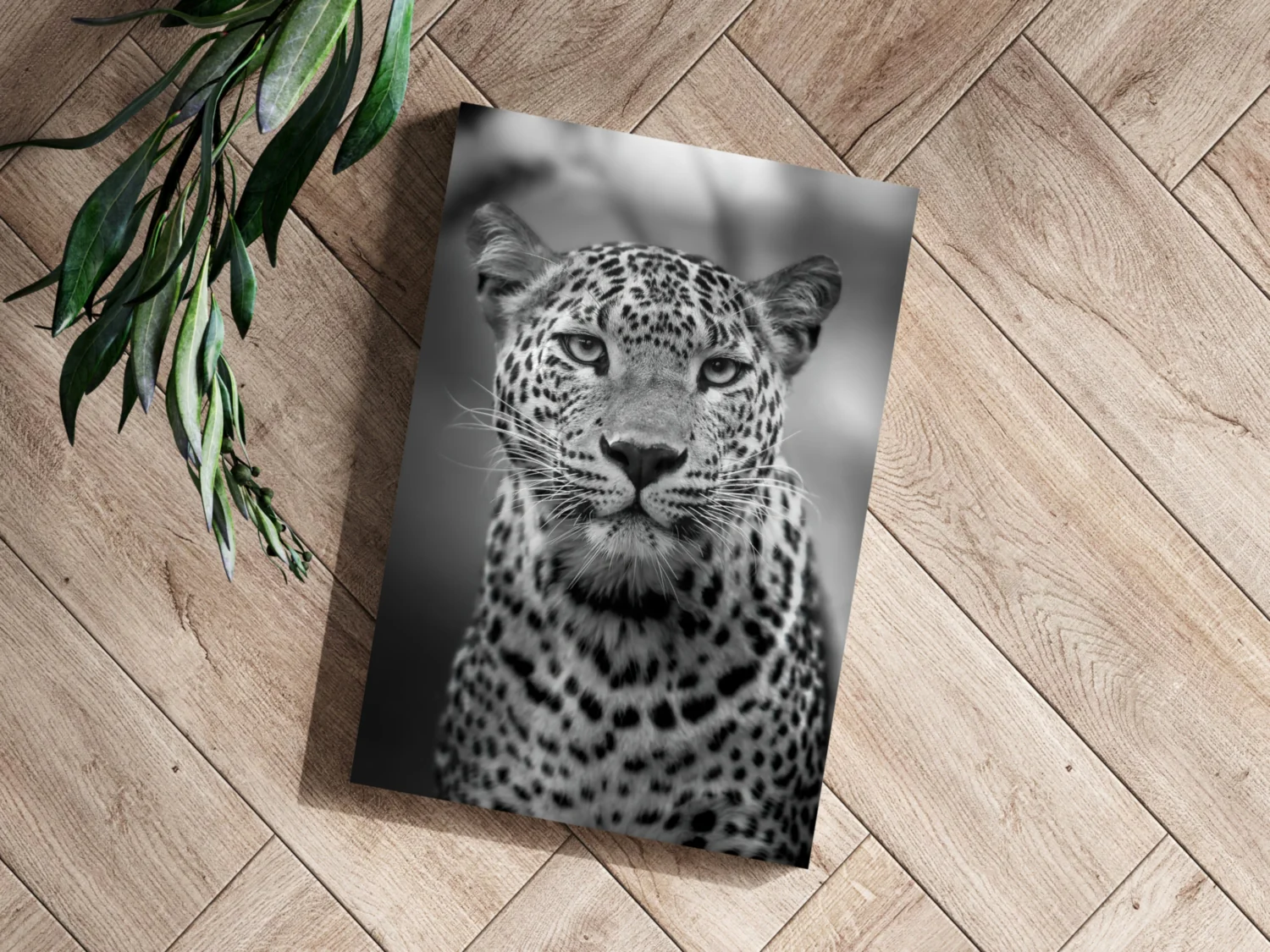 Leopard Aluminum Print - Image 3