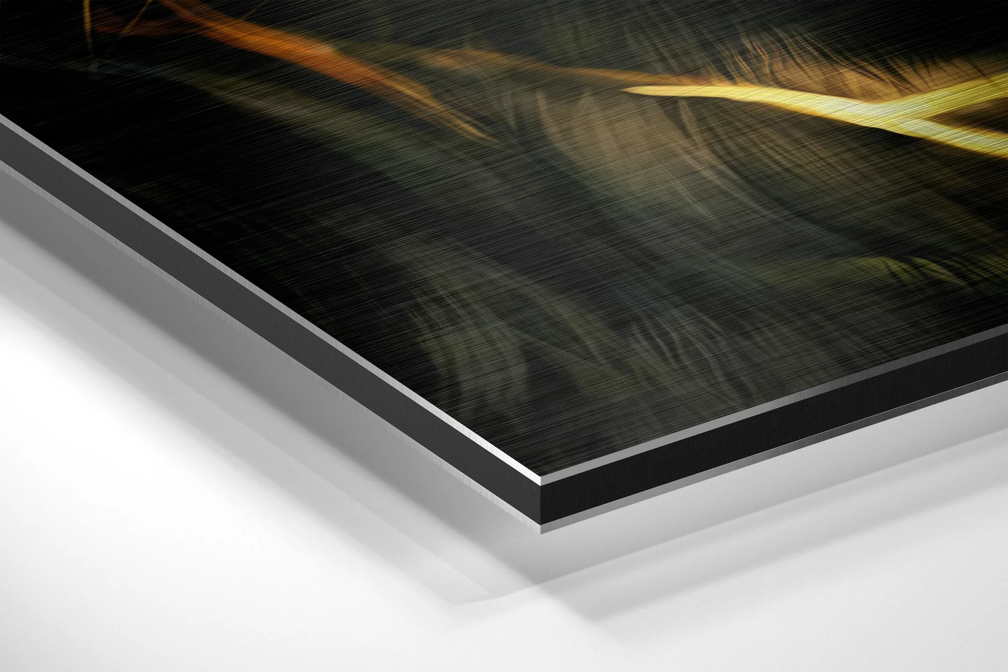 Lion Brushed Aluminium Dibond Wall Art - Image 2