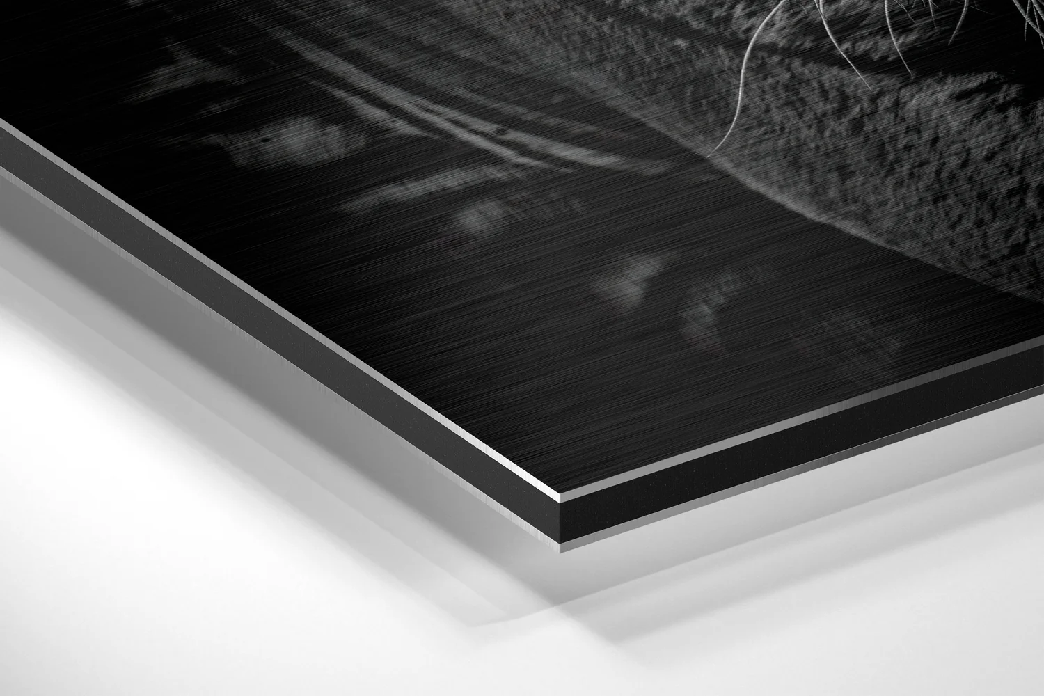 Eye of the Tiger Brushed Aluminium Dibond Wall Art - Image 2