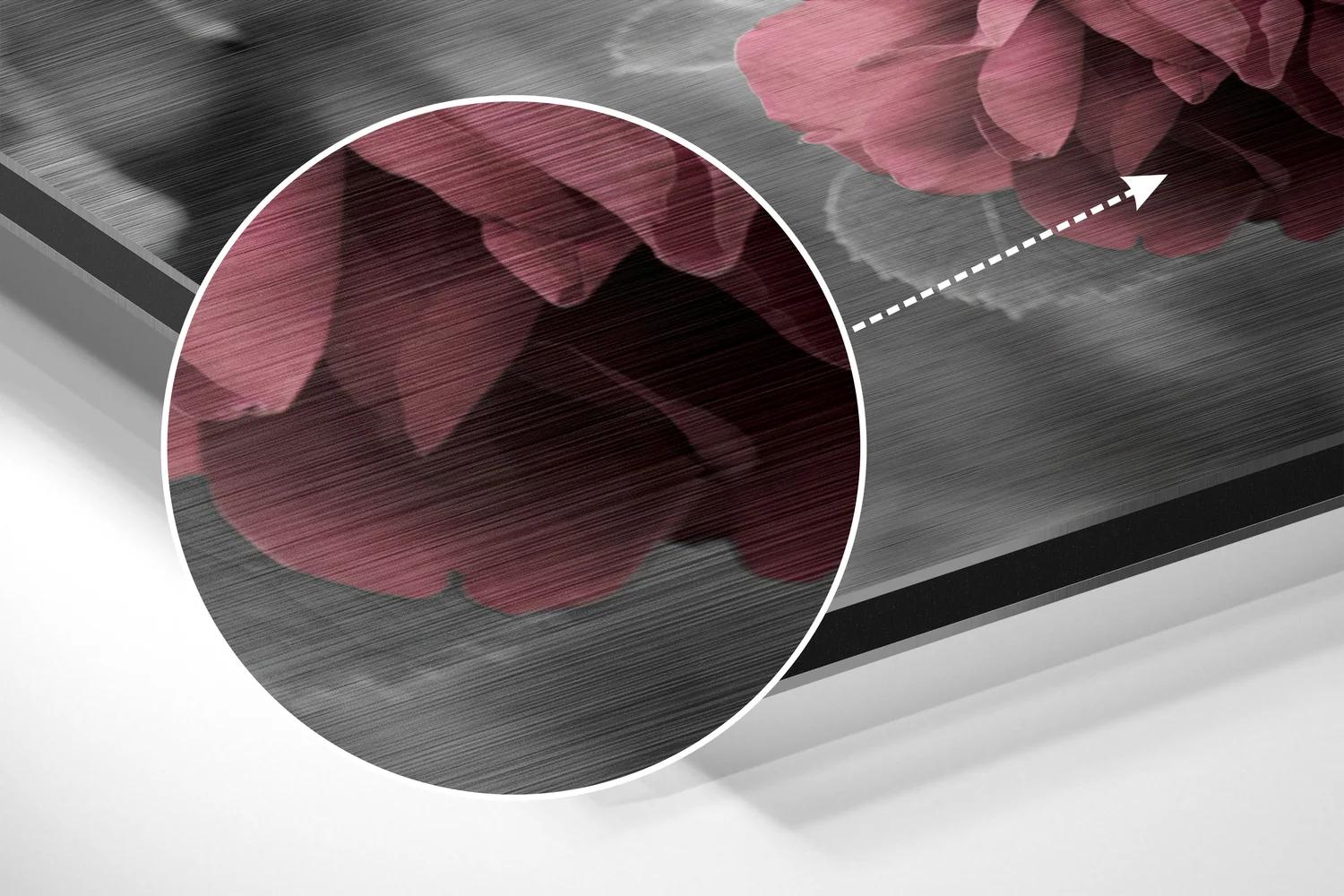 Roses Brushed Aluminium Dibond Wall Art - Image 3