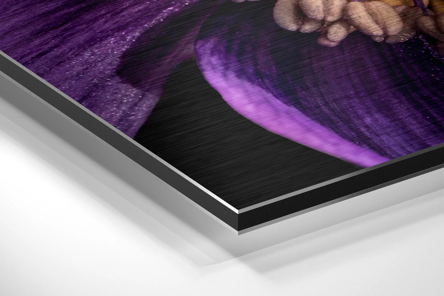 Micro Beauty Brushed Aluminium Dibond Wall Art - Image 2