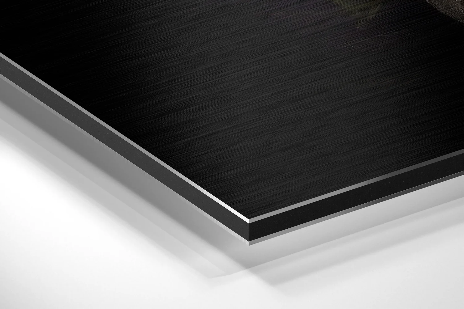 Black Swan Brushed Aluminium Dibond Wall Art - Image 2